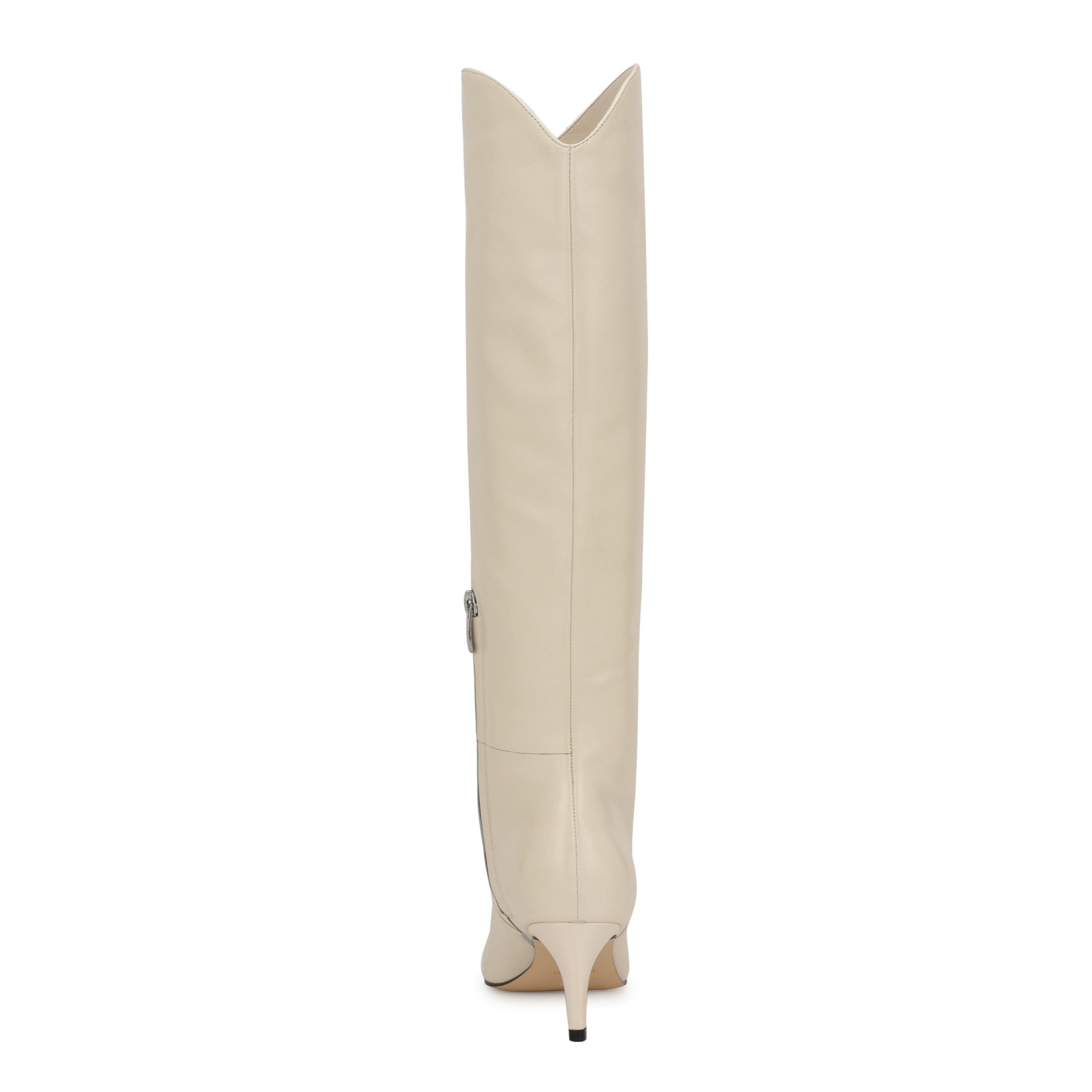 Sirena Pointy Toe Tall Shaft Dress Boots
