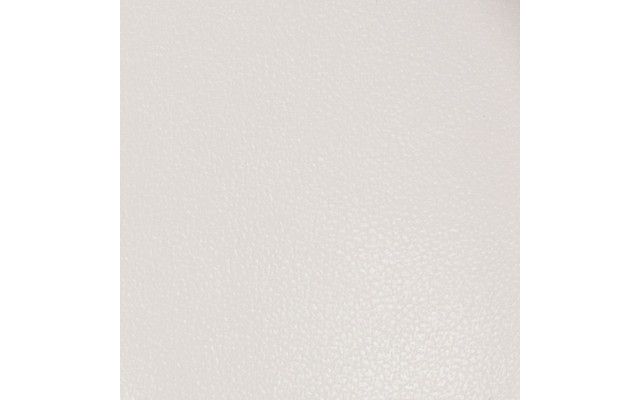 Ivory Patent