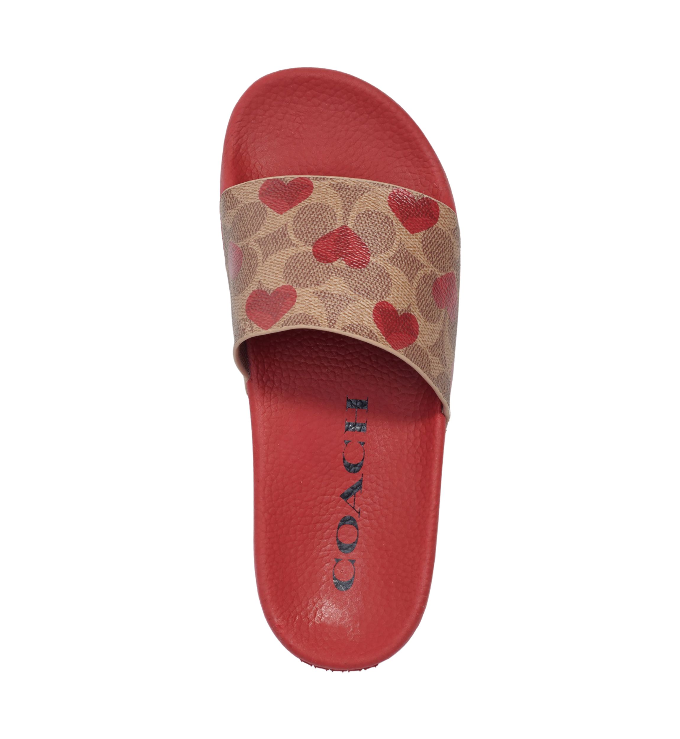 Heart Print Slides