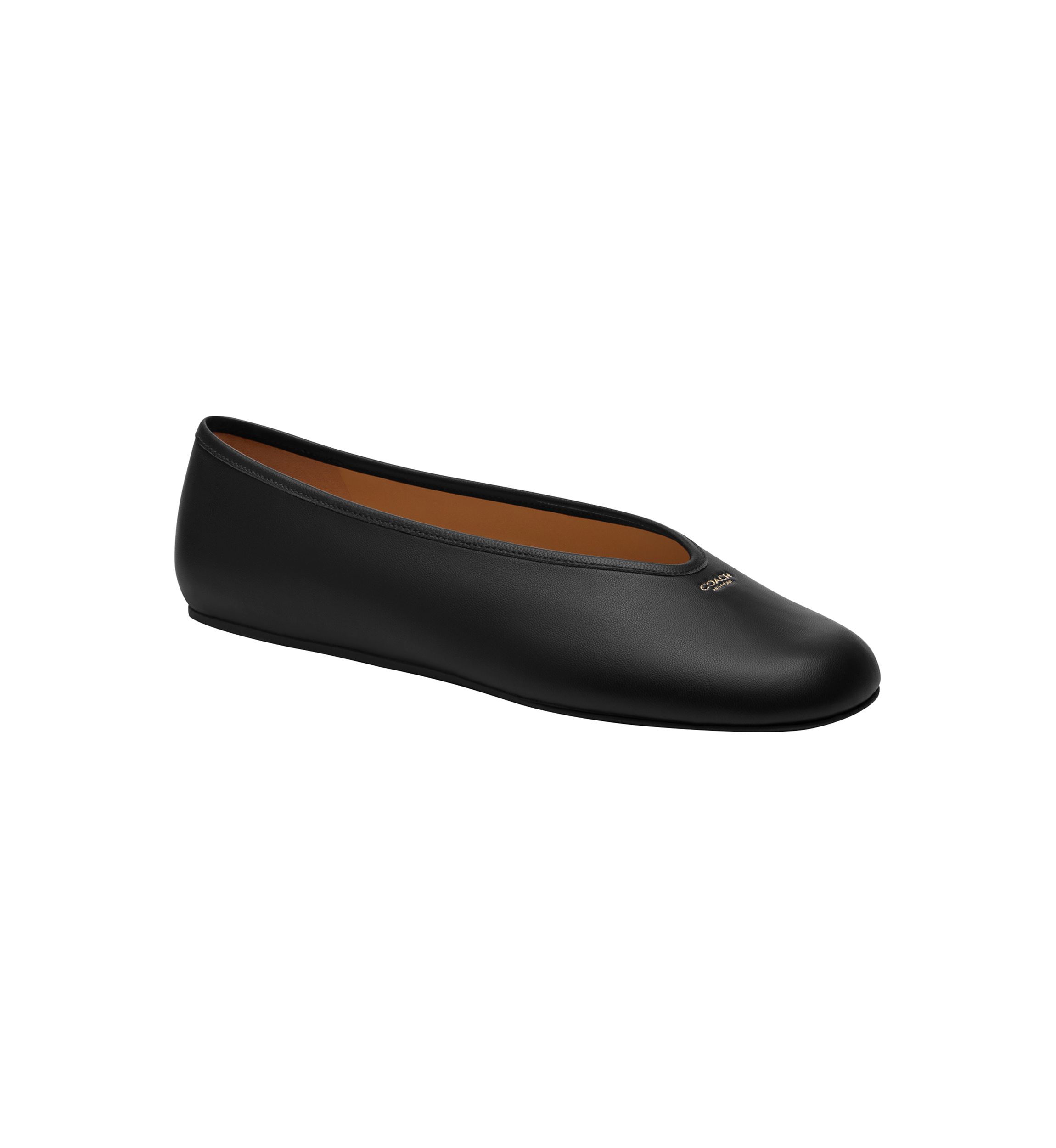 Houston Ballet Flats 