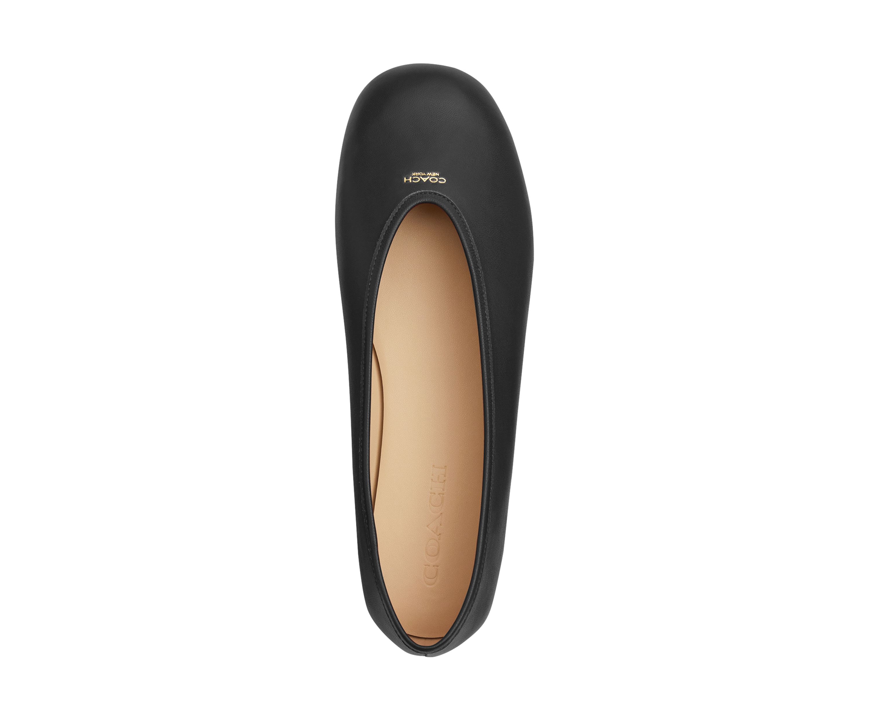 Houston Ballet Flats 