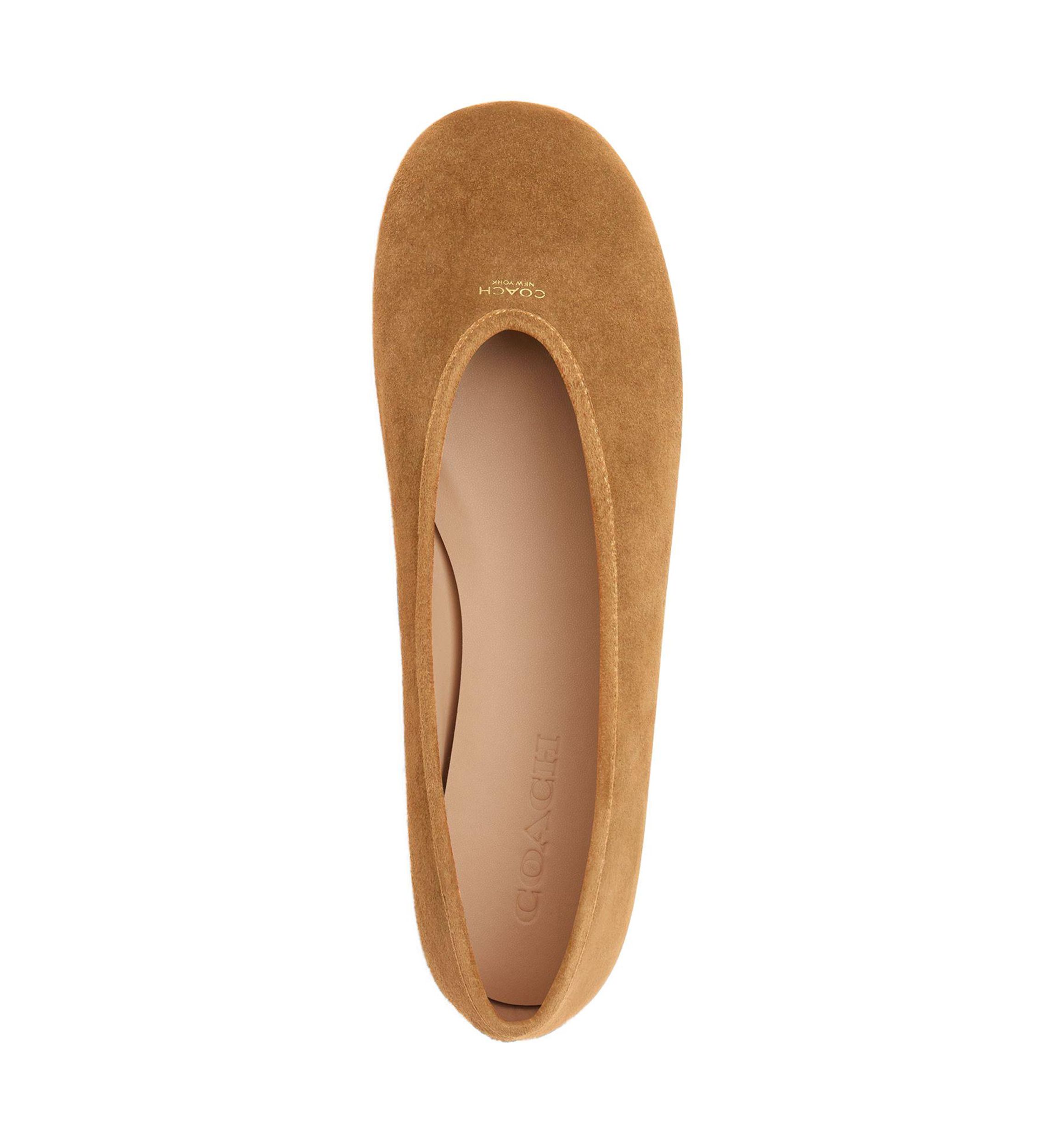 Houston Ballet Flats 