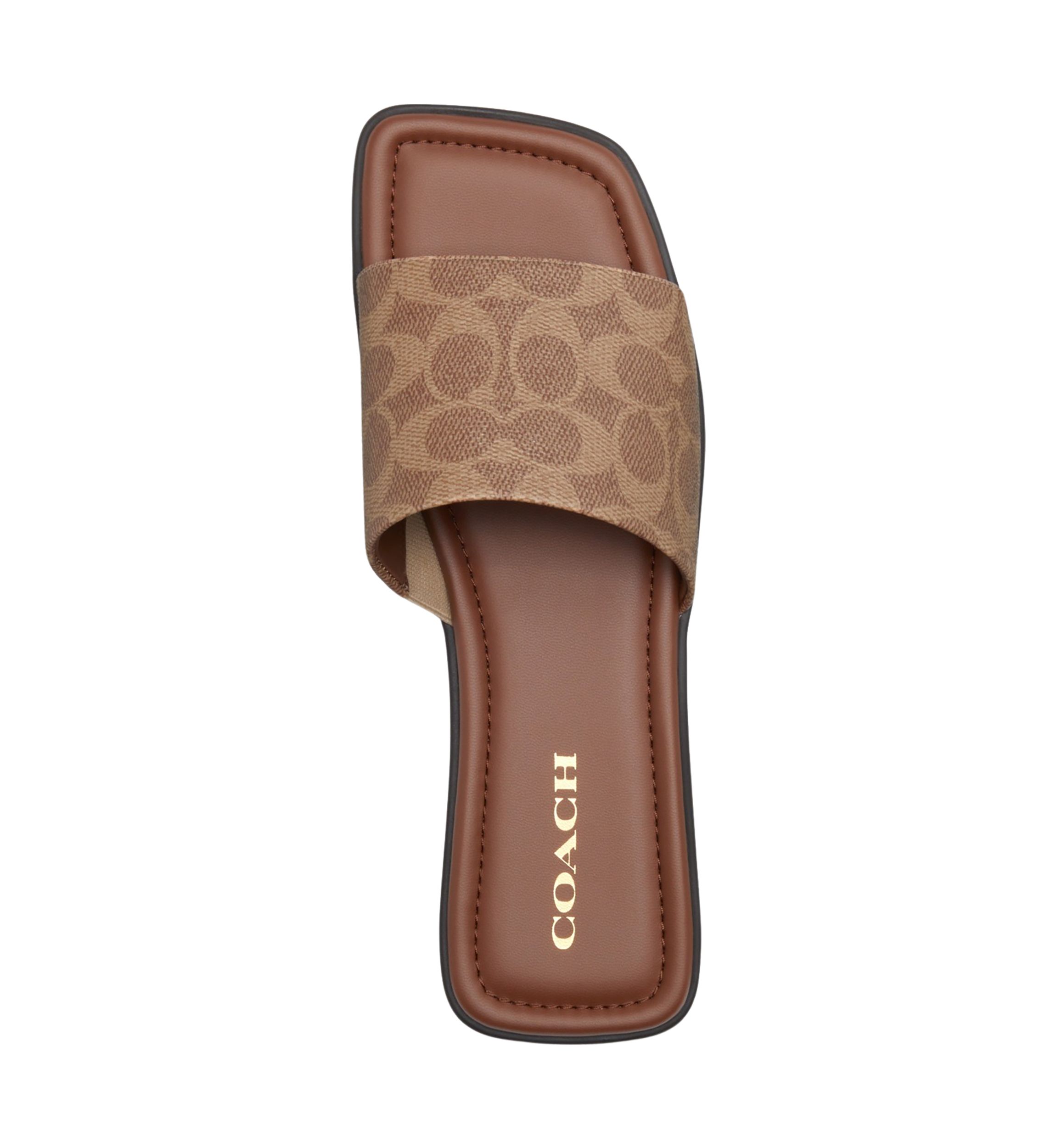 Florence Signature Canvas Sandals