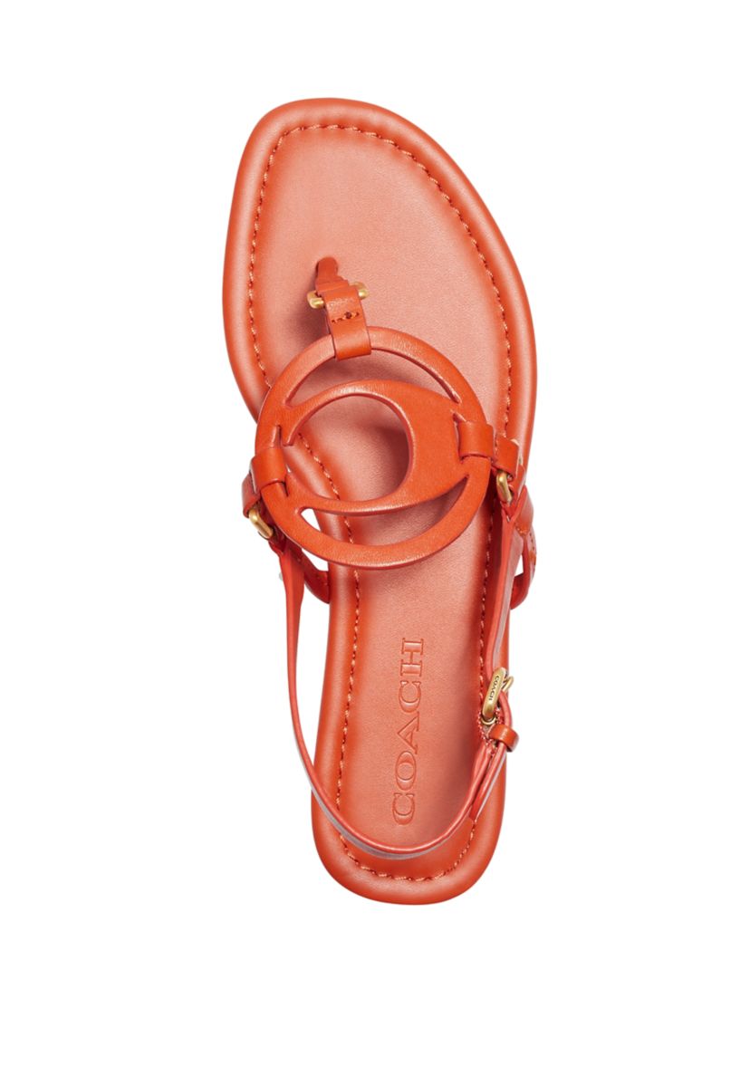 Jeri Logo Thong Sandals