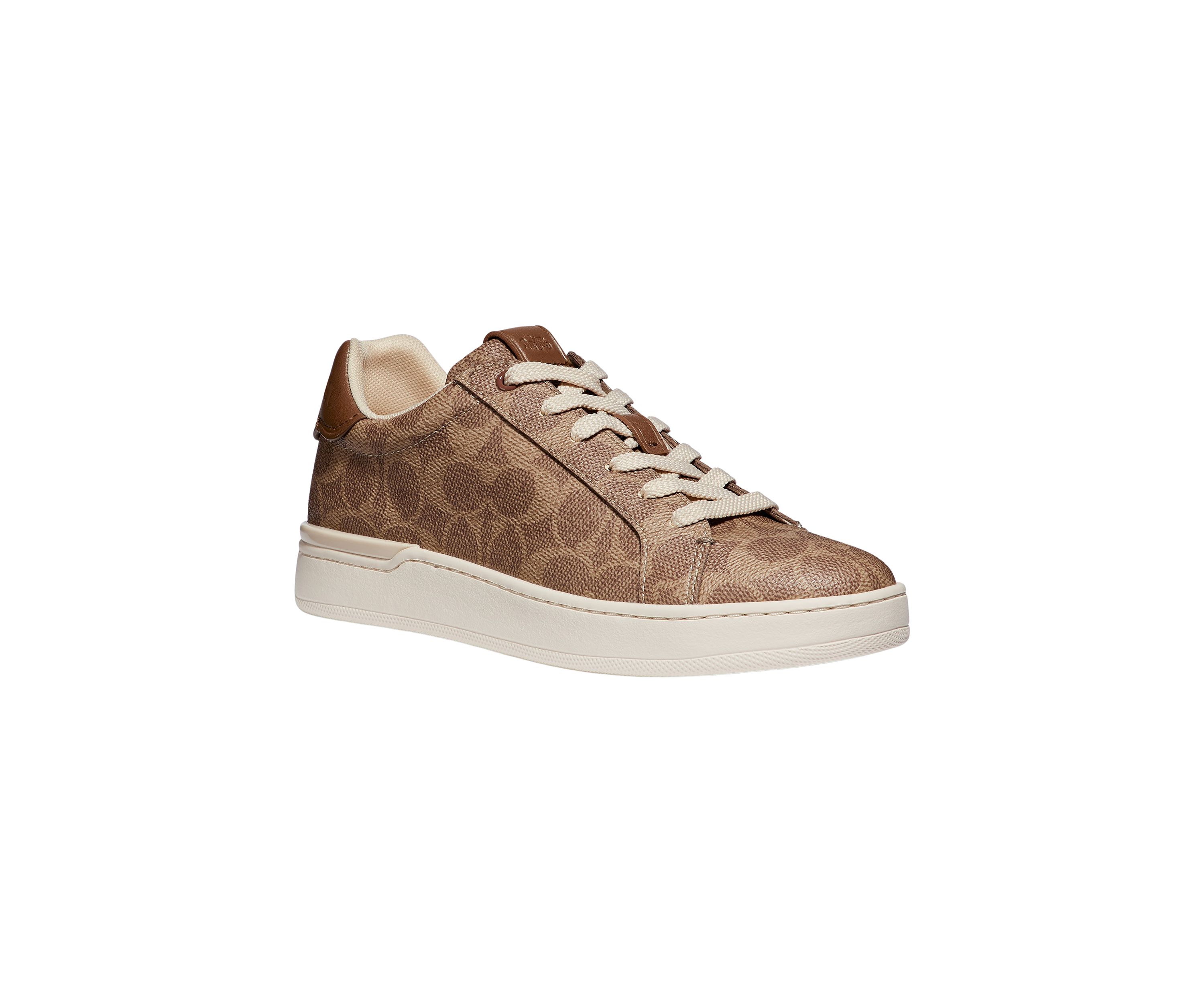 Lowline Sneakers