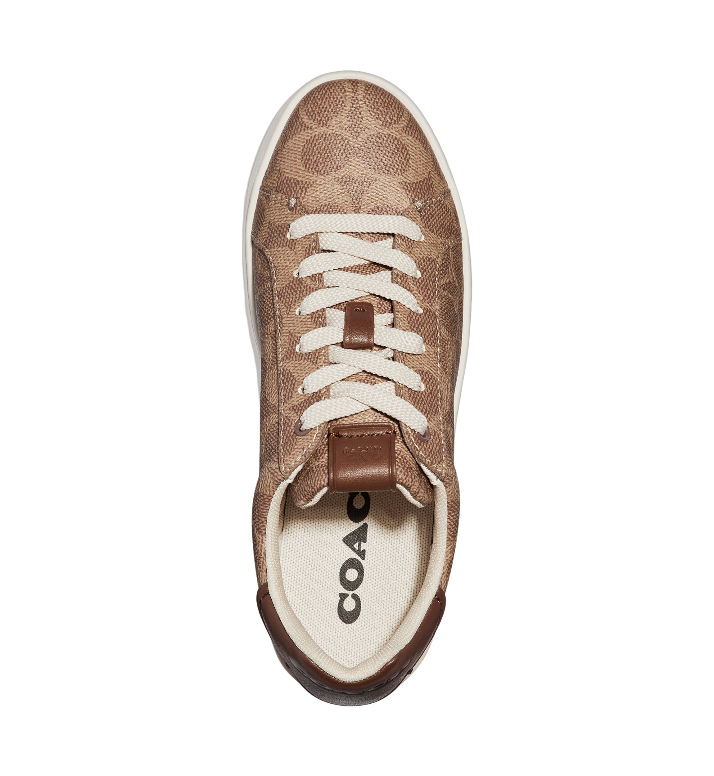 Lowline Sneakers