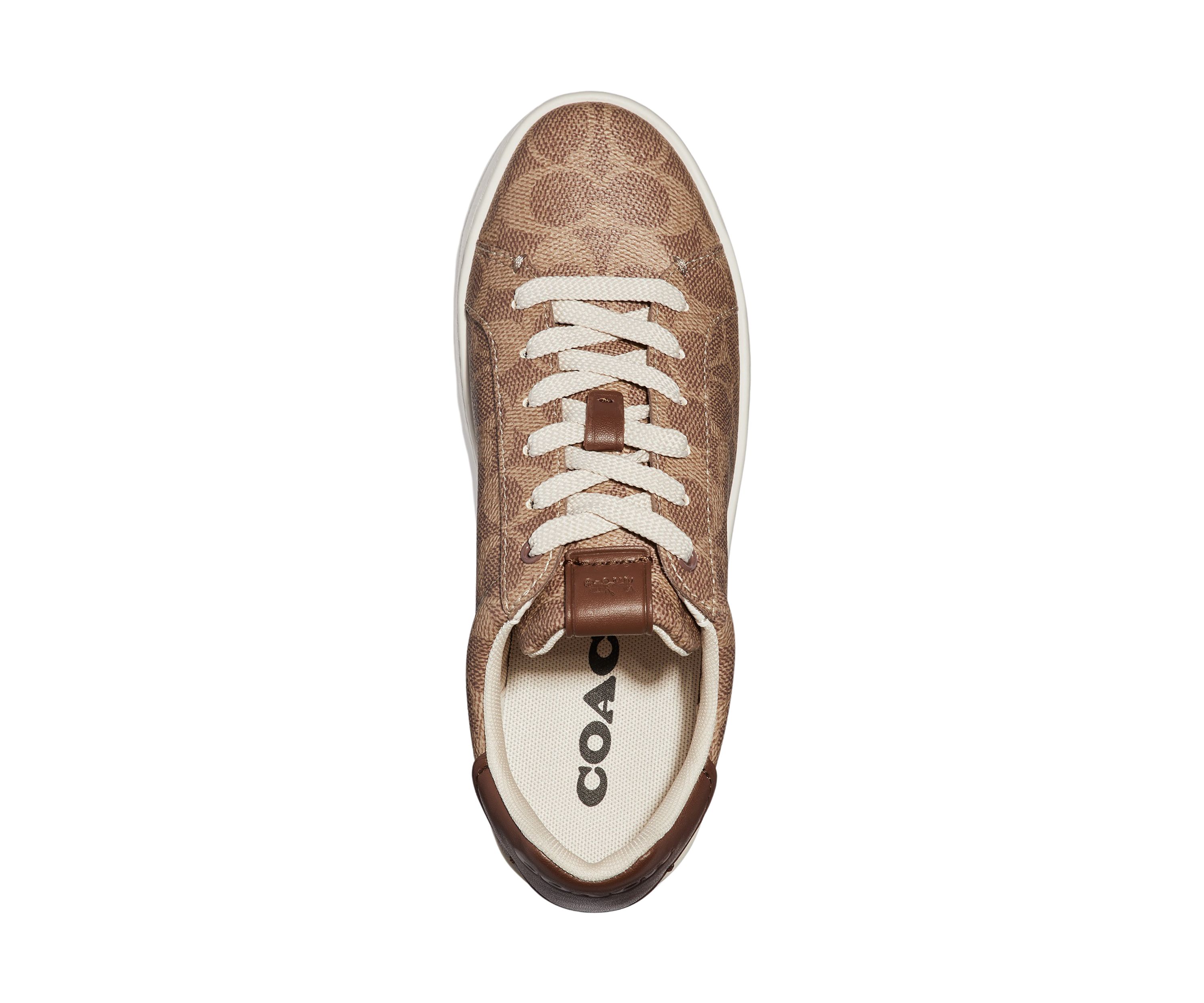 Lowline Sneakers