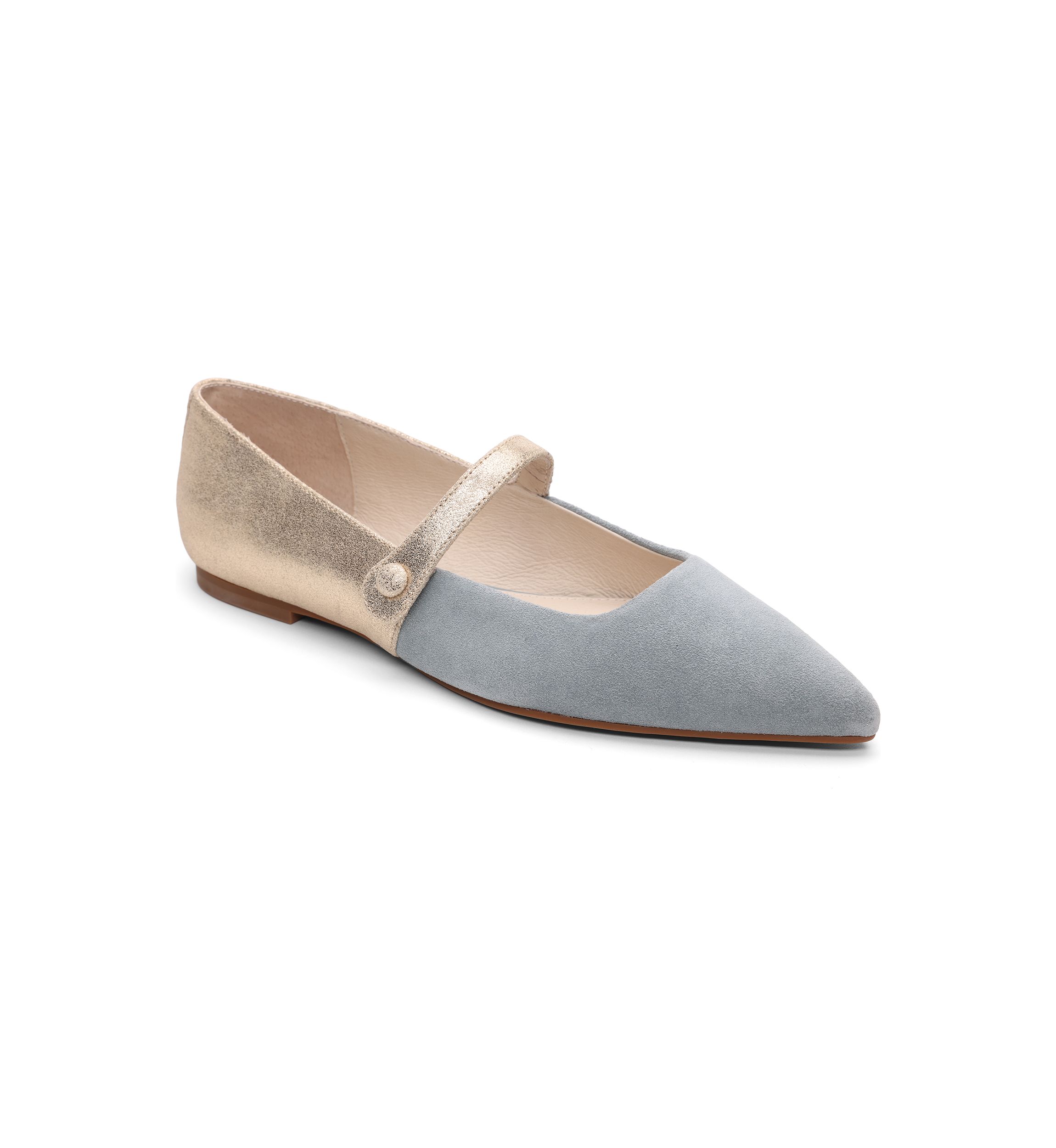Clamour Mary Jane Pointy Toe Flats