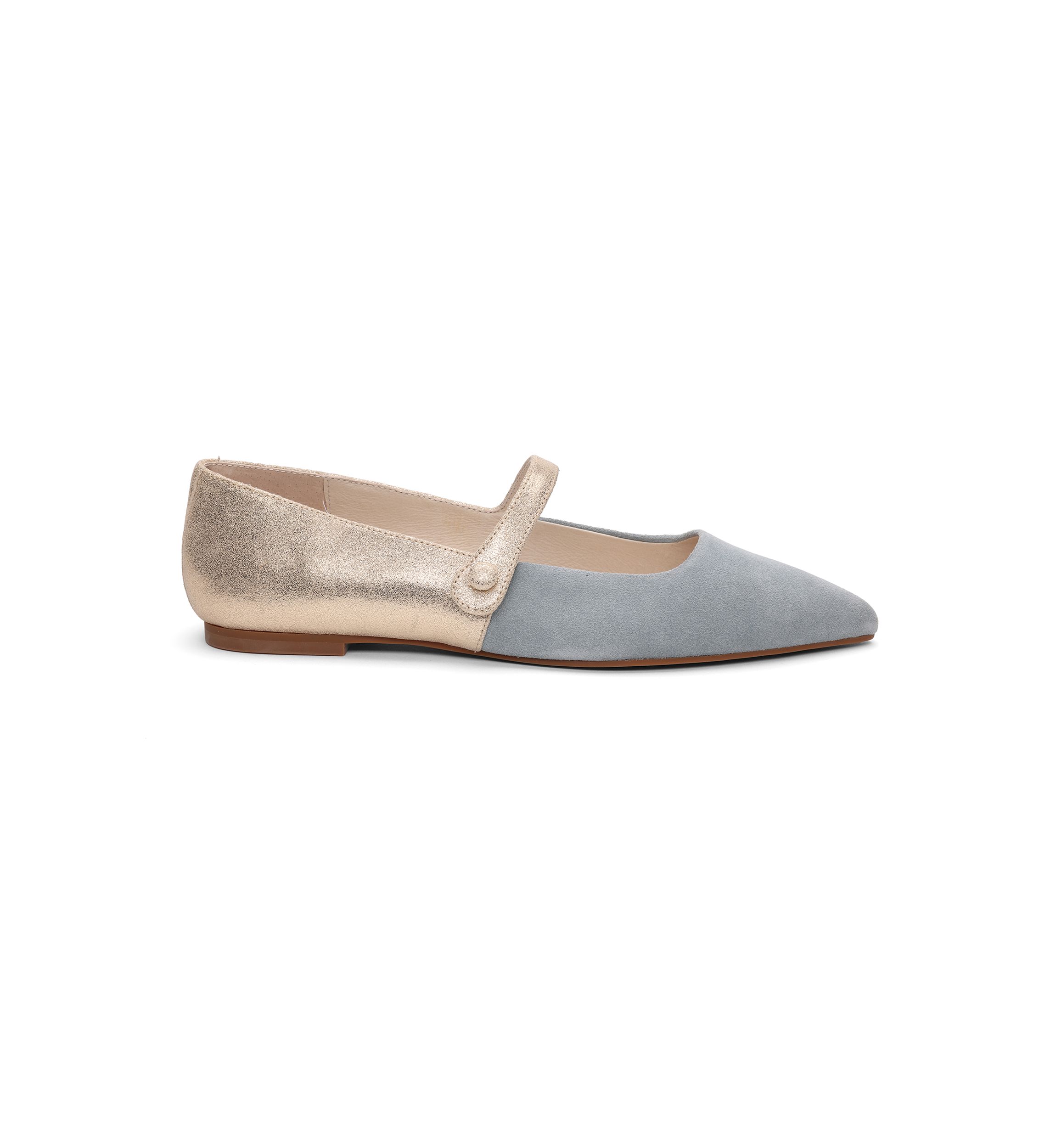 Clamour Mary Jane Pointy Toe Flats
