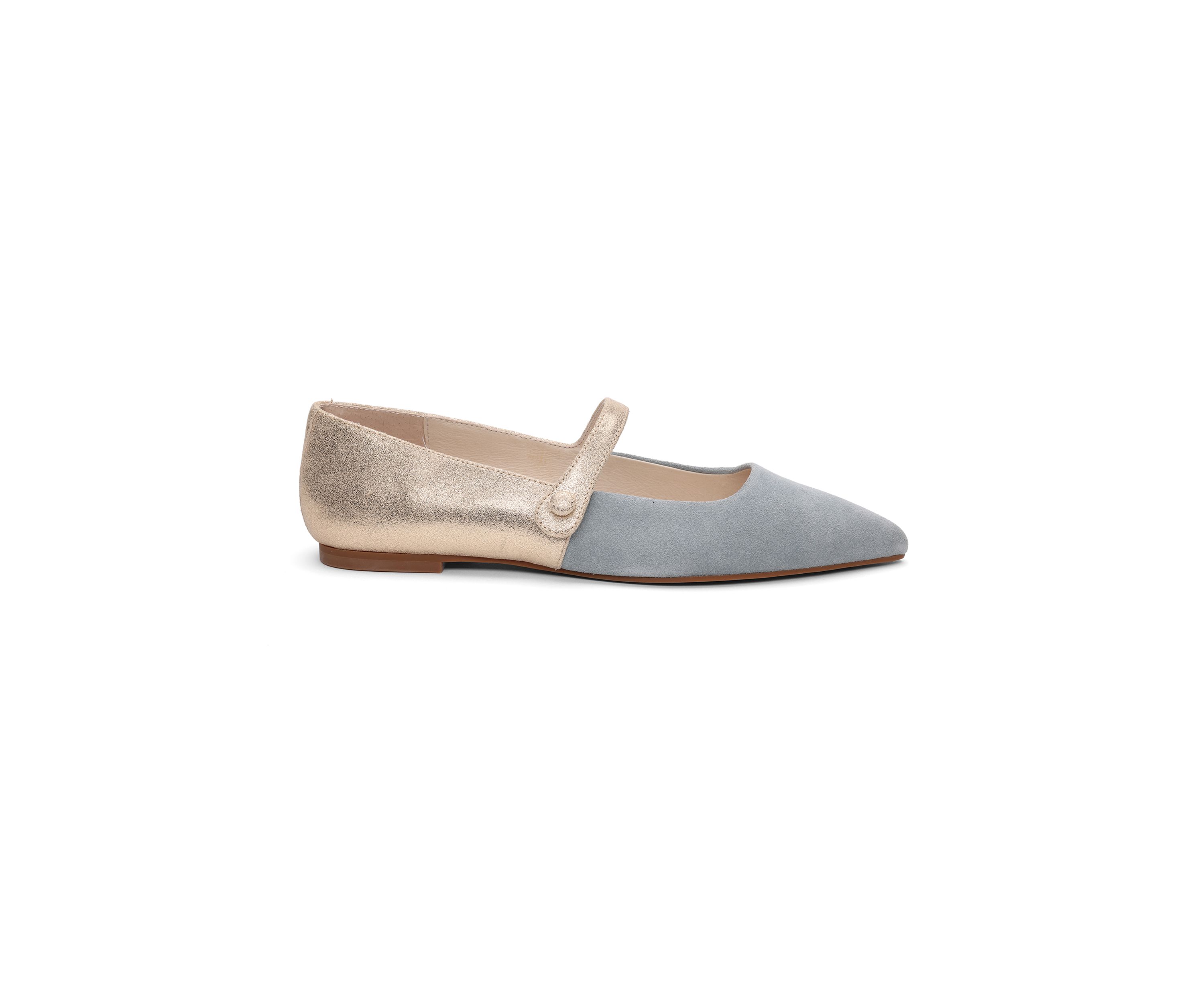 Clamour Mary Jane Pointy Toe Flats