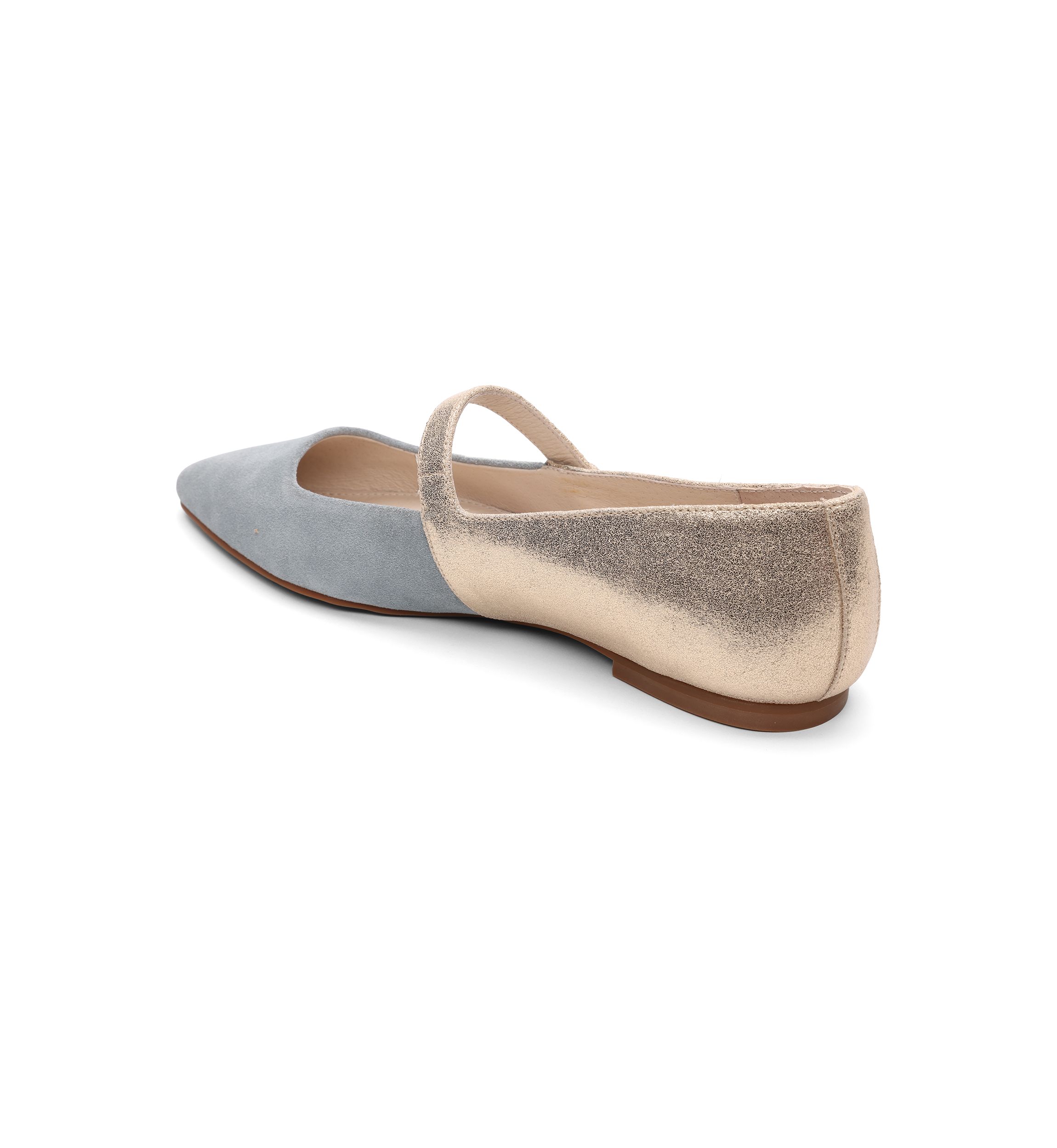 Clamour Mary Jane Pointy Toe Flats
