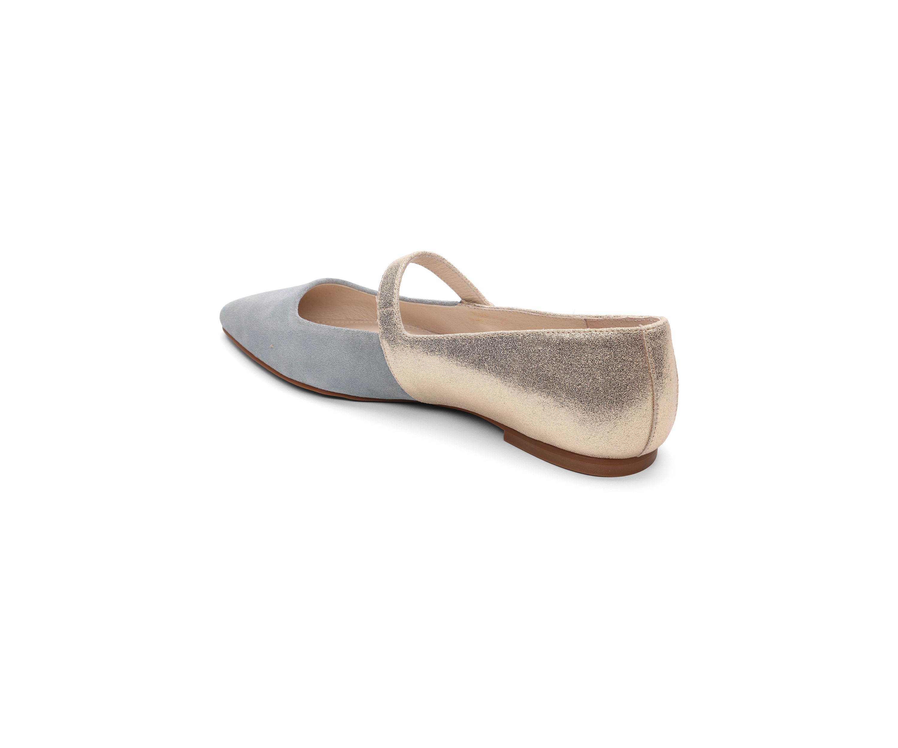 Clamour Mary Jane Pointy Toe Flats
