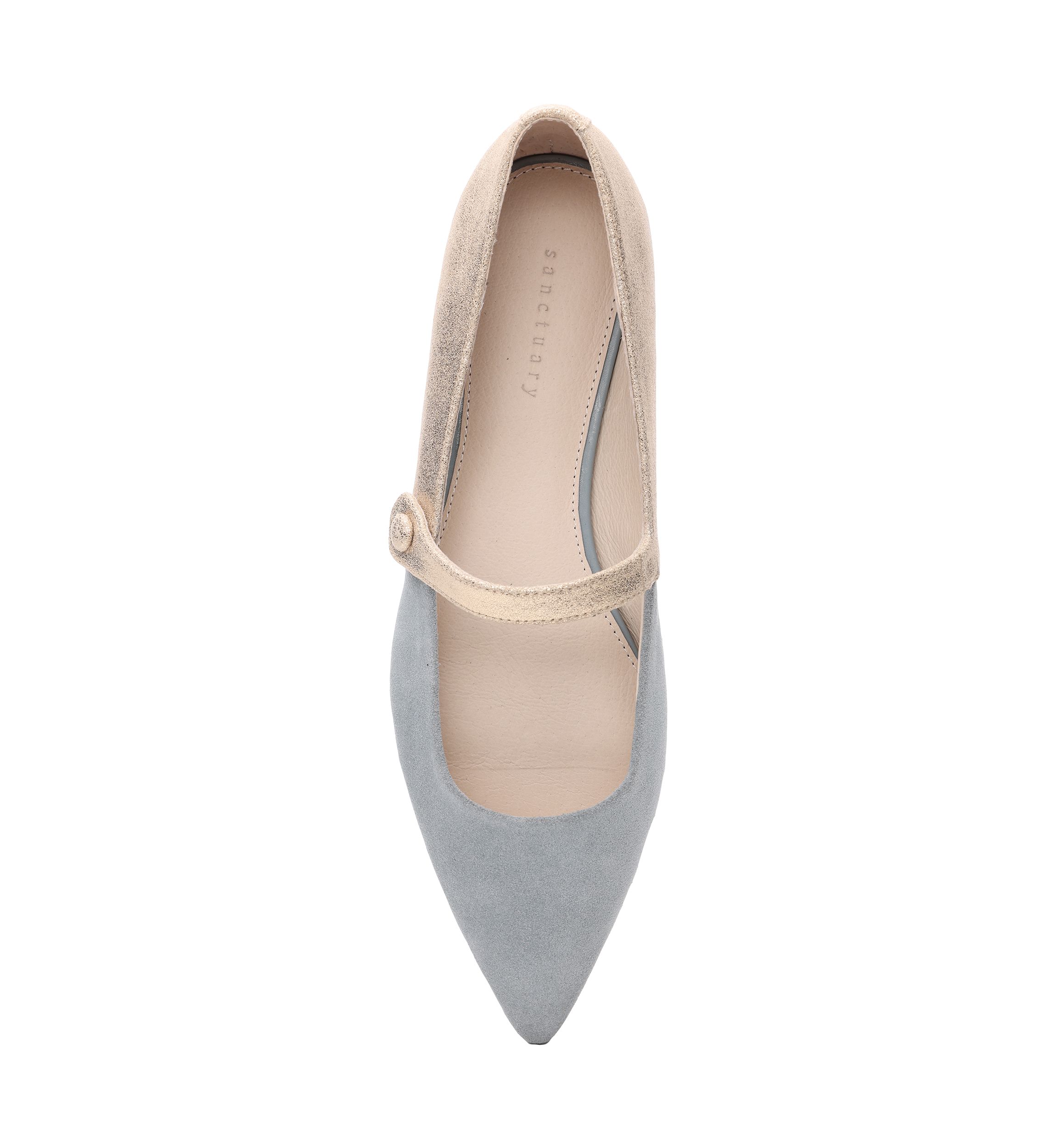 Clamour Mary Jane Pointy Toe Flats