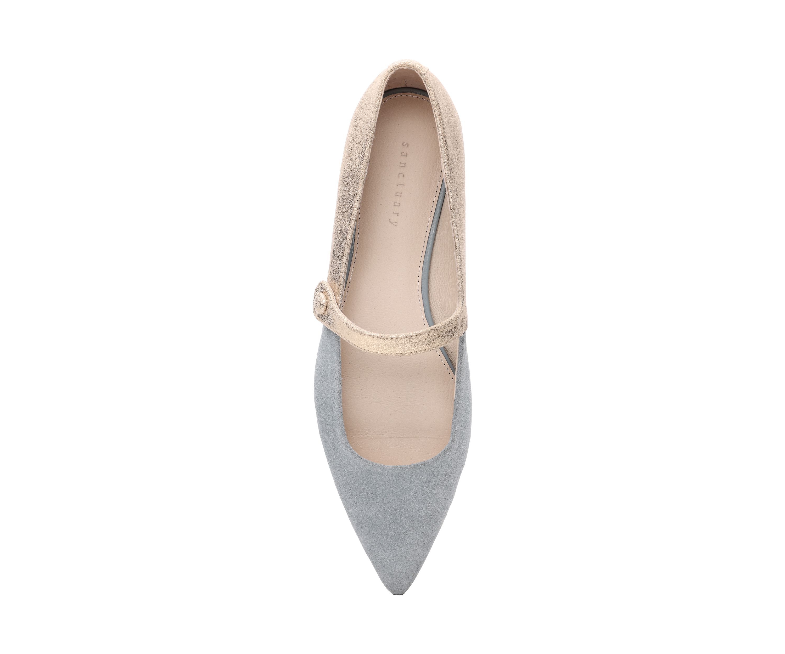 Clamour Mary Jane Pointy Toe Flats