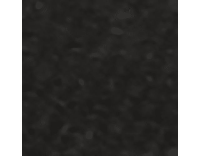 Black Canvas