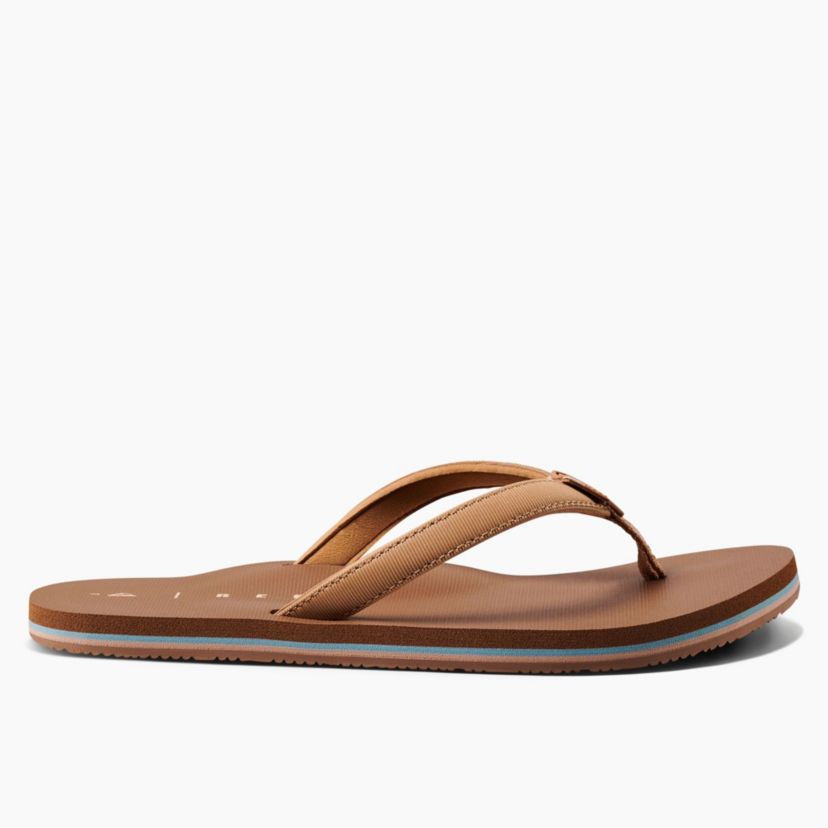 Reef Solana