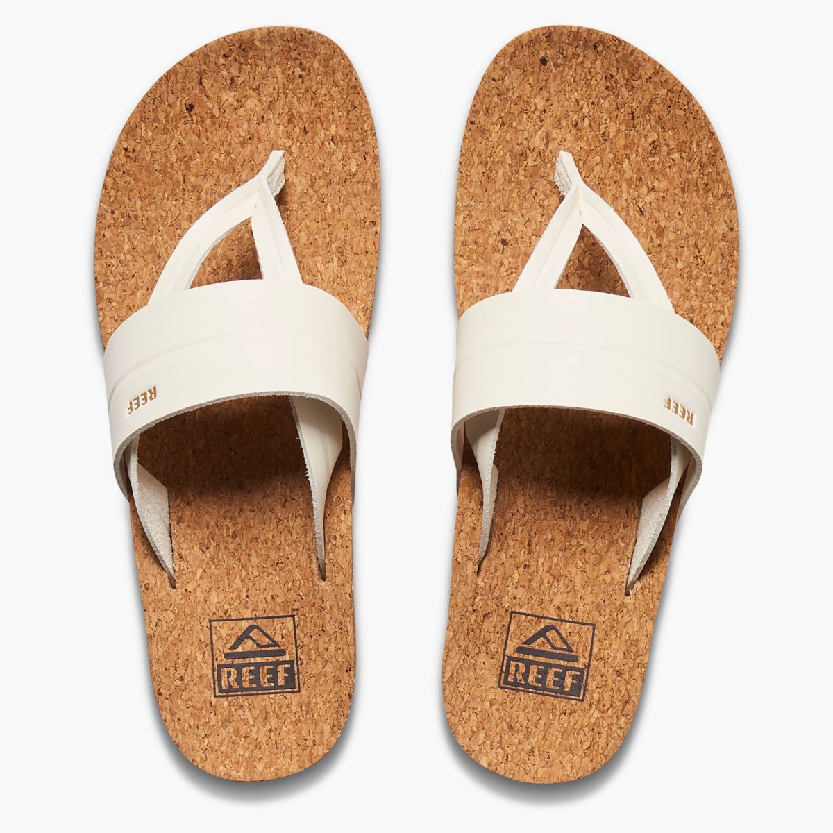 Cushion Lennox Higher