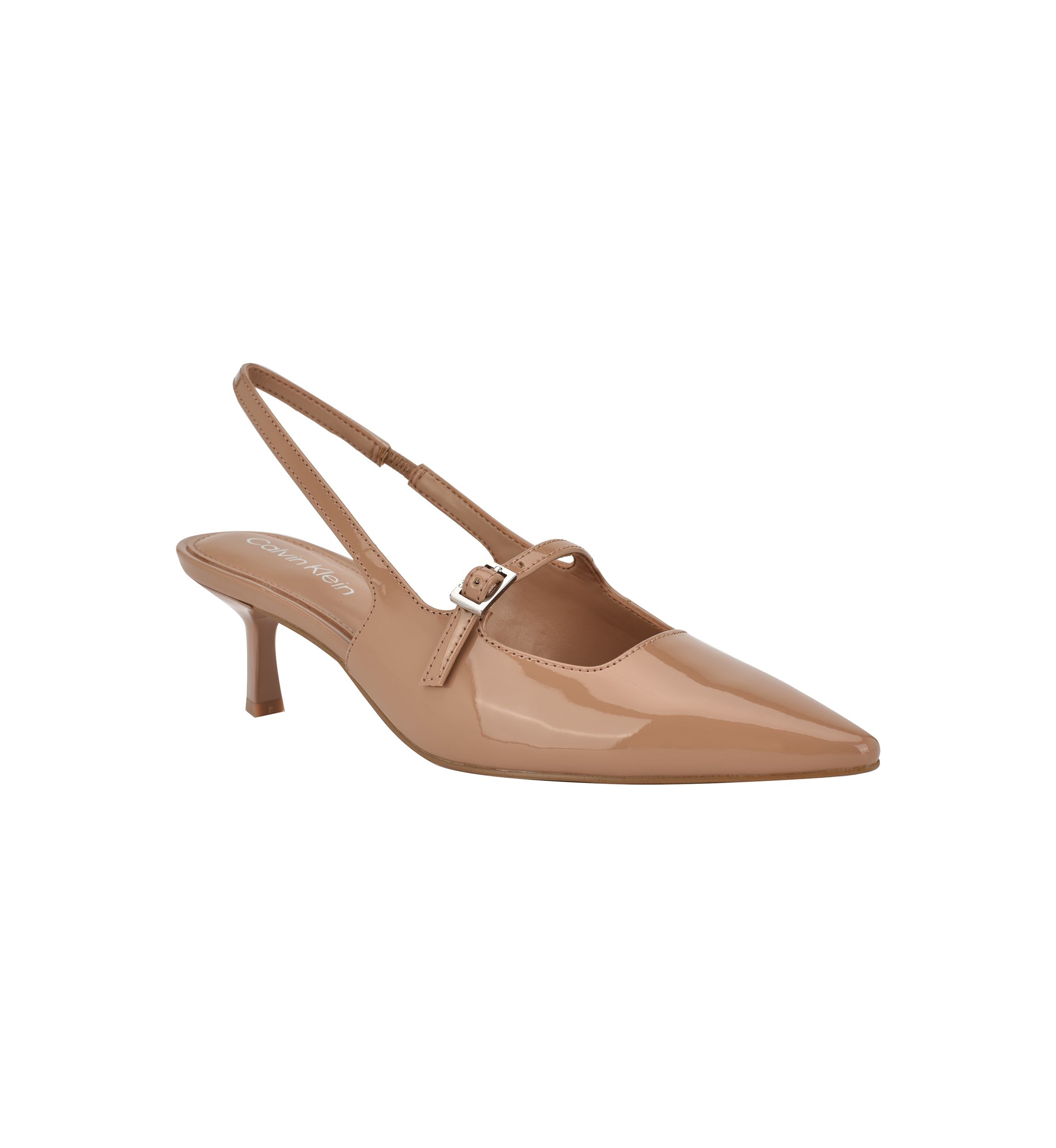Kallien Pointy Toe Slingback Dress Pumps