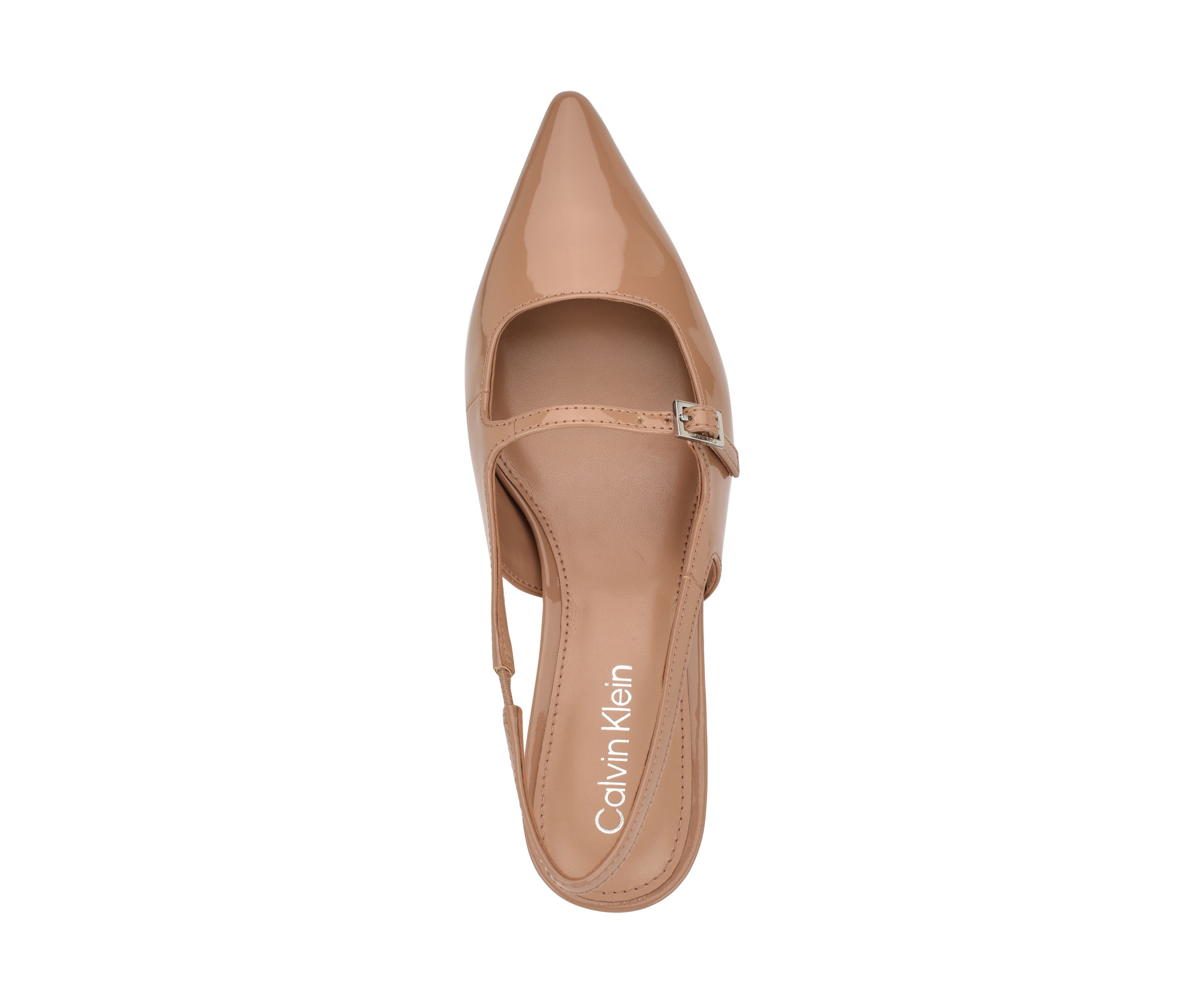 Kallien Pointy Toe Slingback Dress Pumps