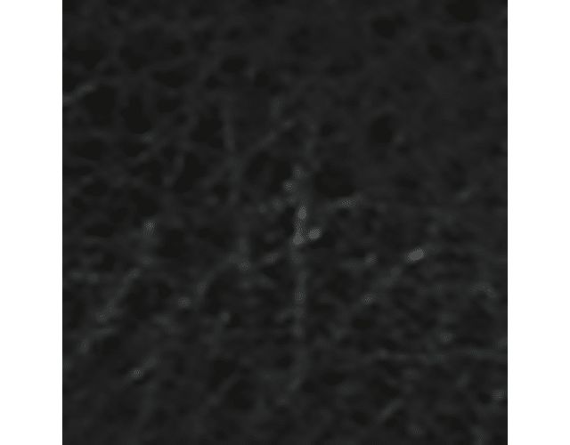 Black Multi Leather