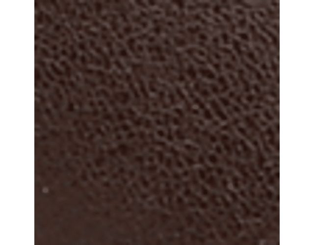 Dark Brown Leather