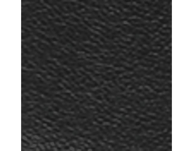 Black Leather