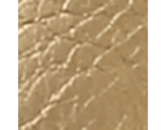 Gold Leather