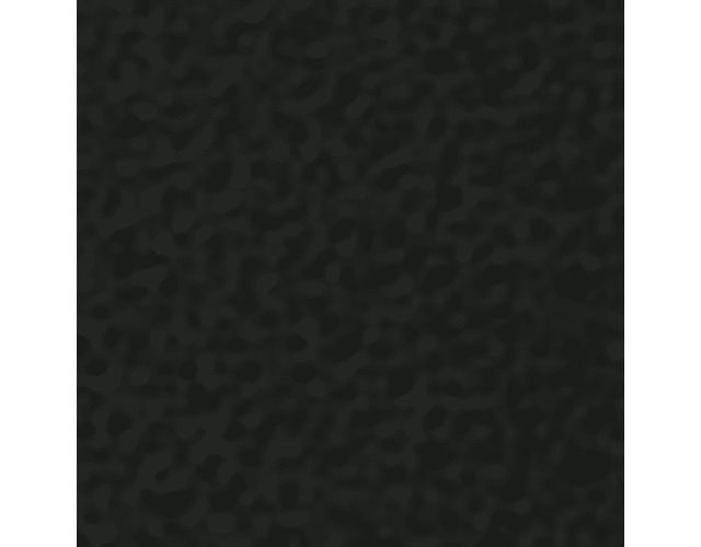 Black Leather