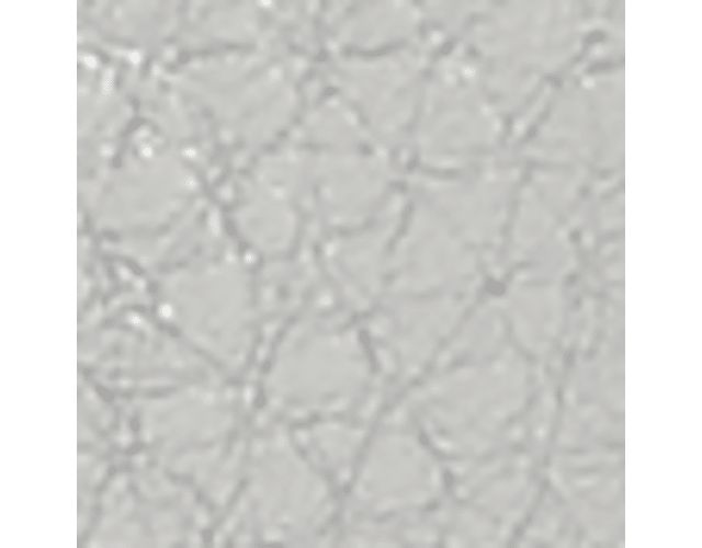 Silver Leeather