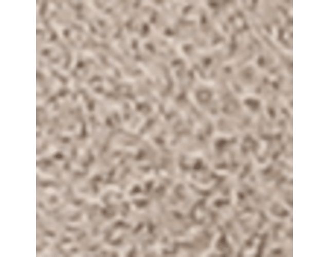 Lucid Beige Waxed Suede