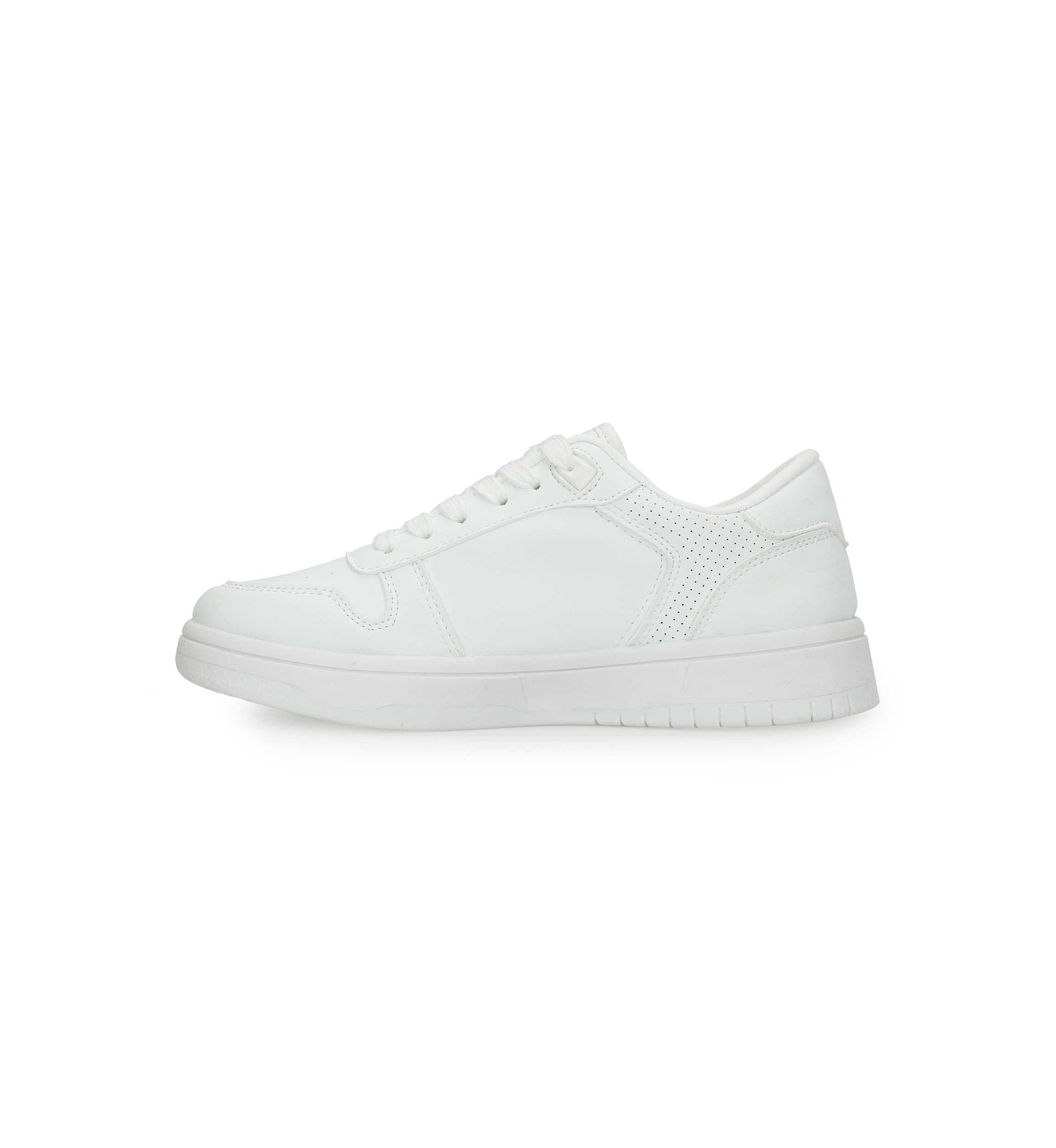Fresh Sneakers
