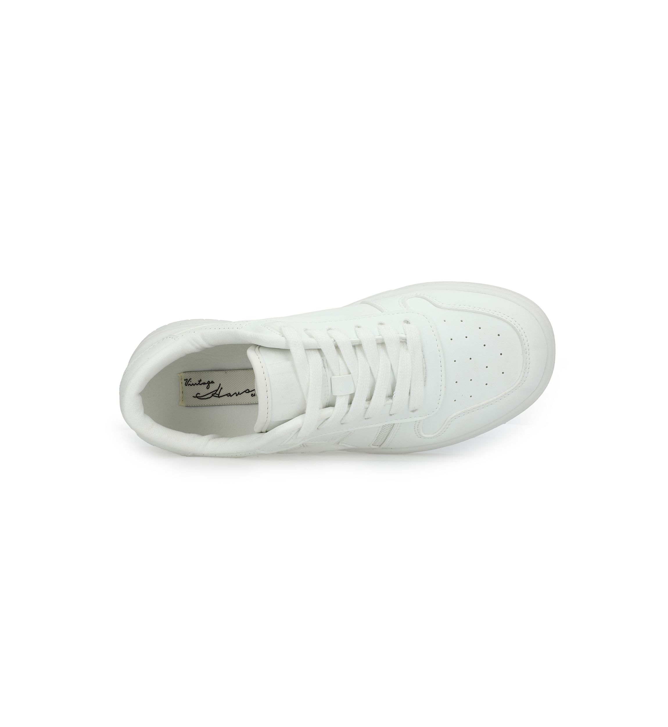 Fresh Sneakers