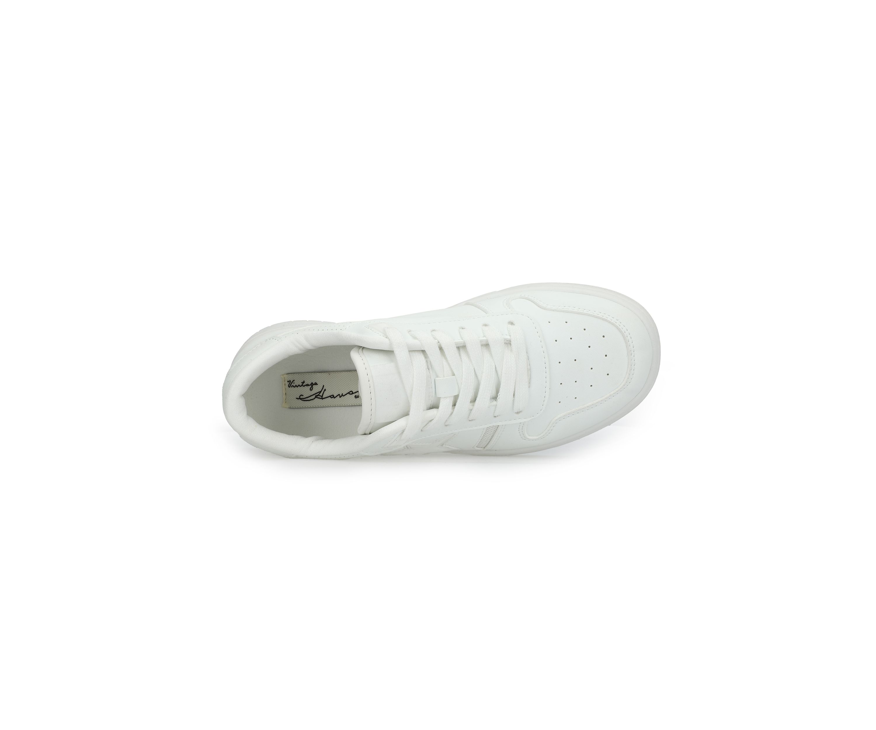 Fresh Sneakers