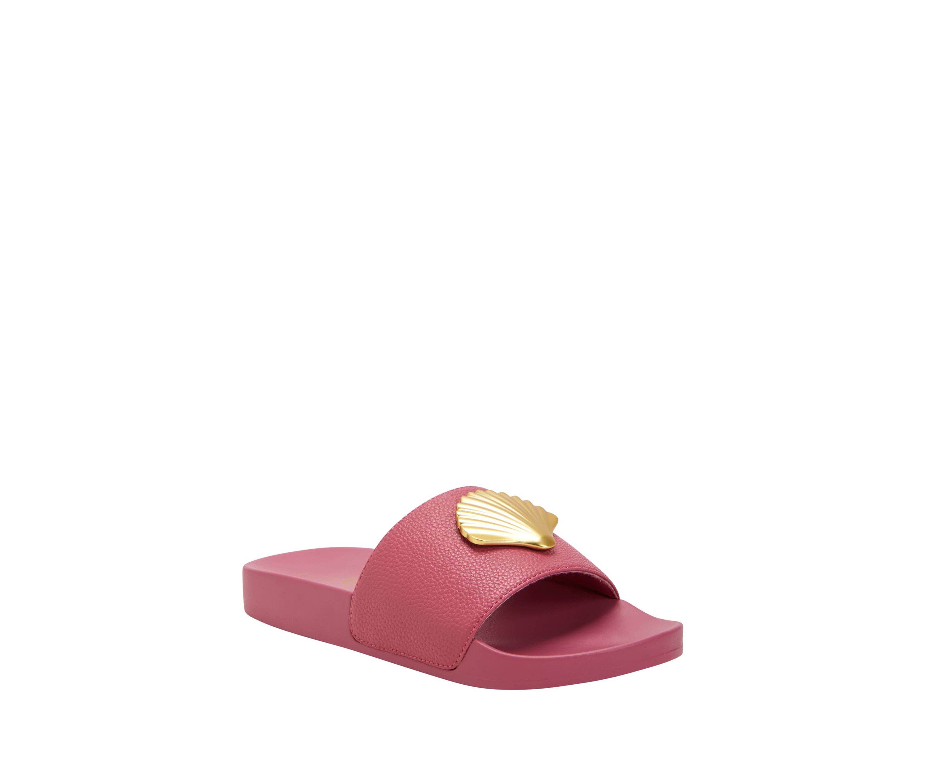 The Pool Slide Shell