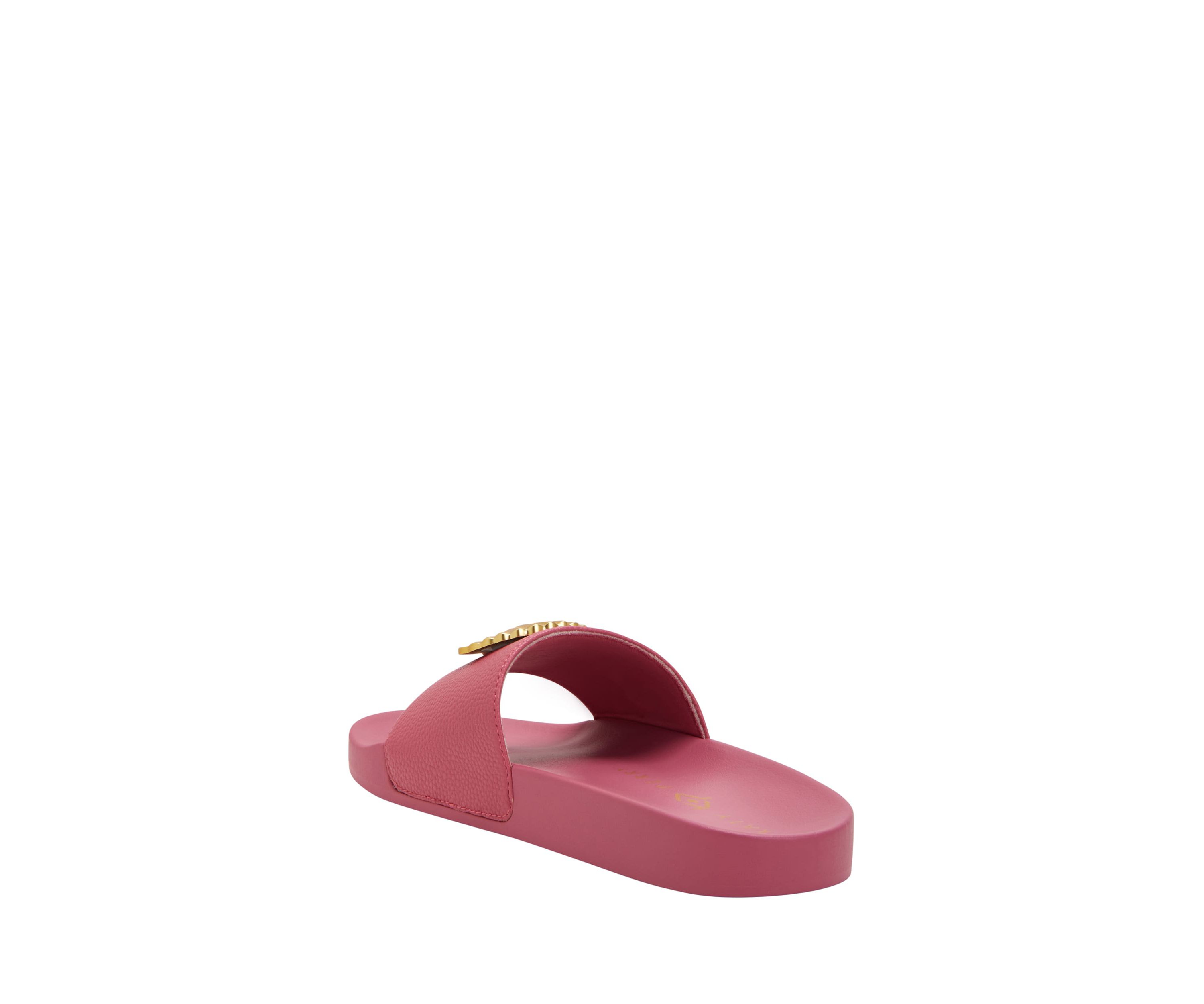 The Pool Slide Shell