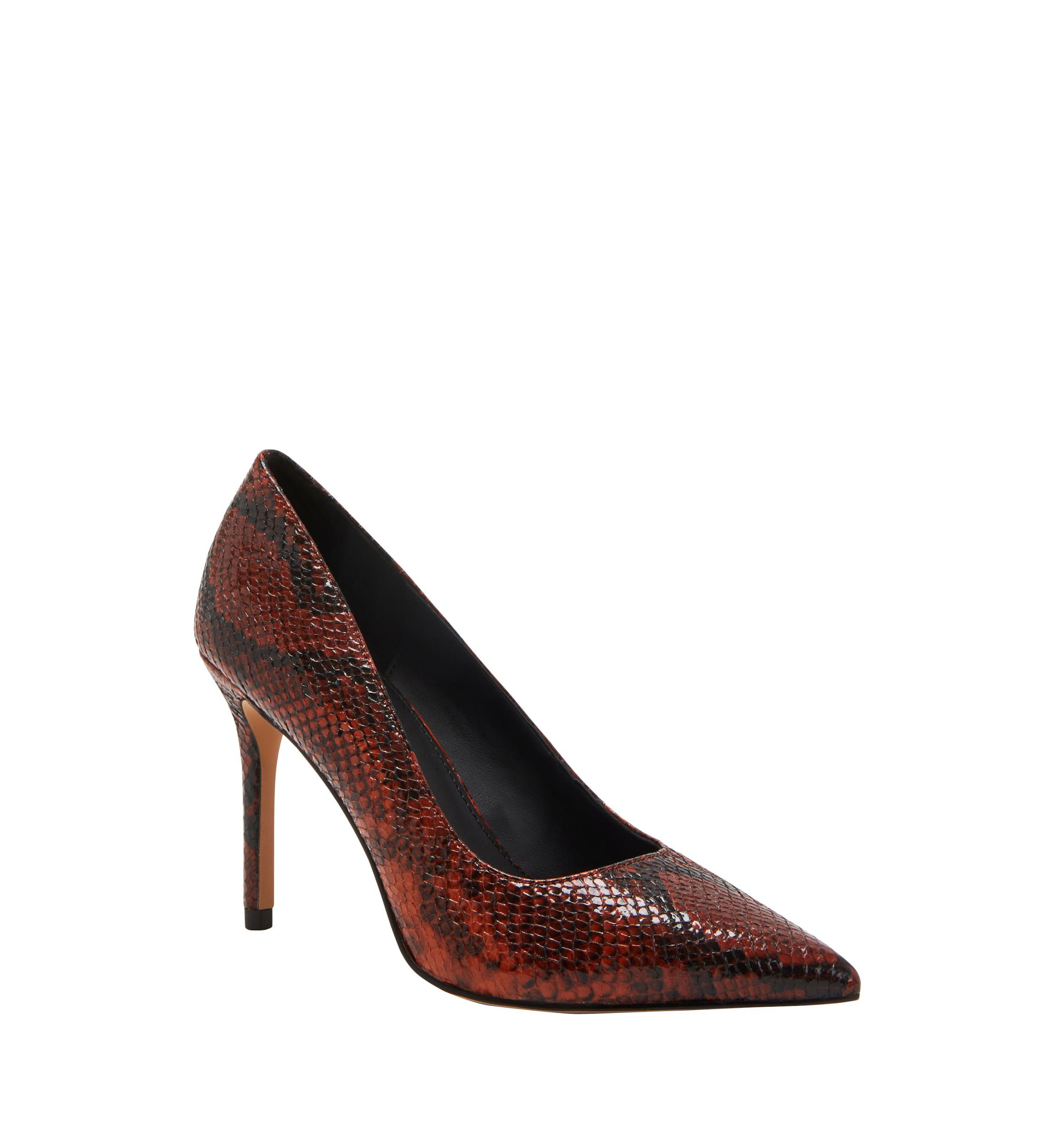 THE REVIVAL PUMP