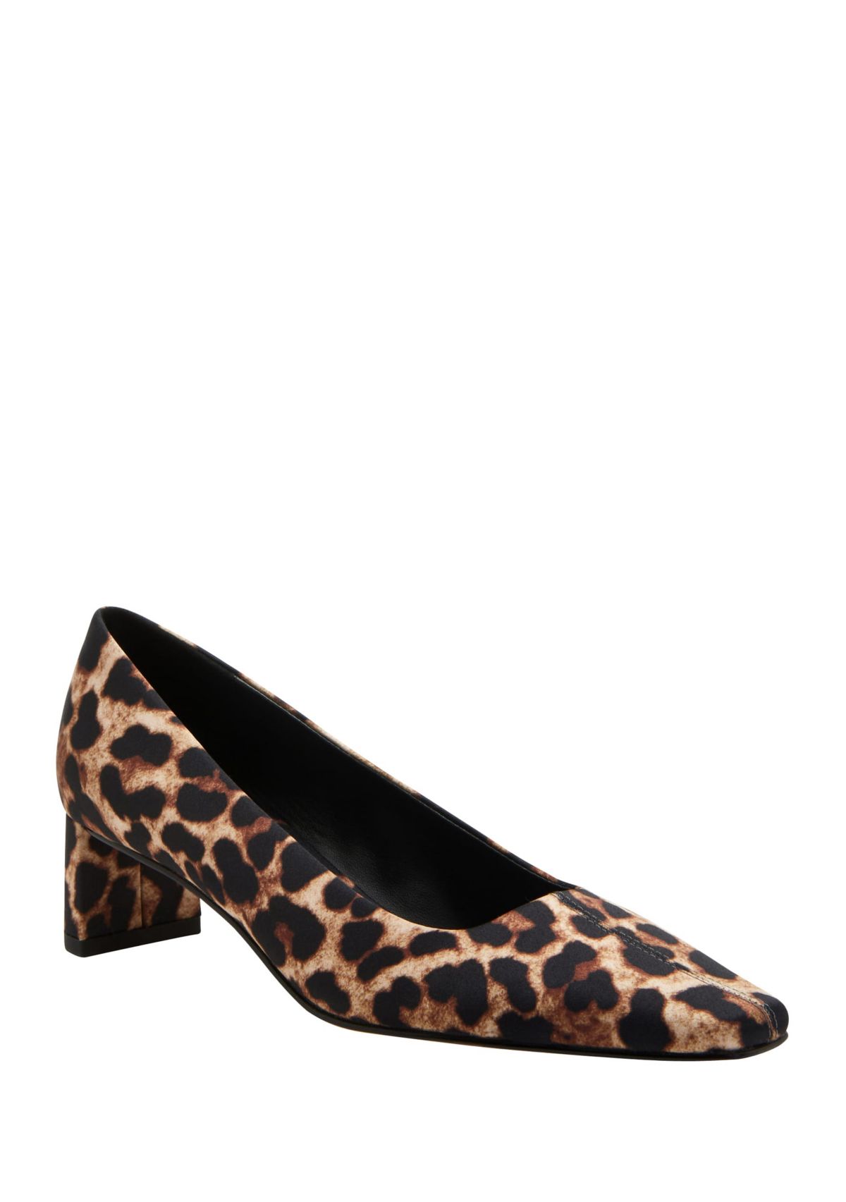 THE WANDERERING PUMP