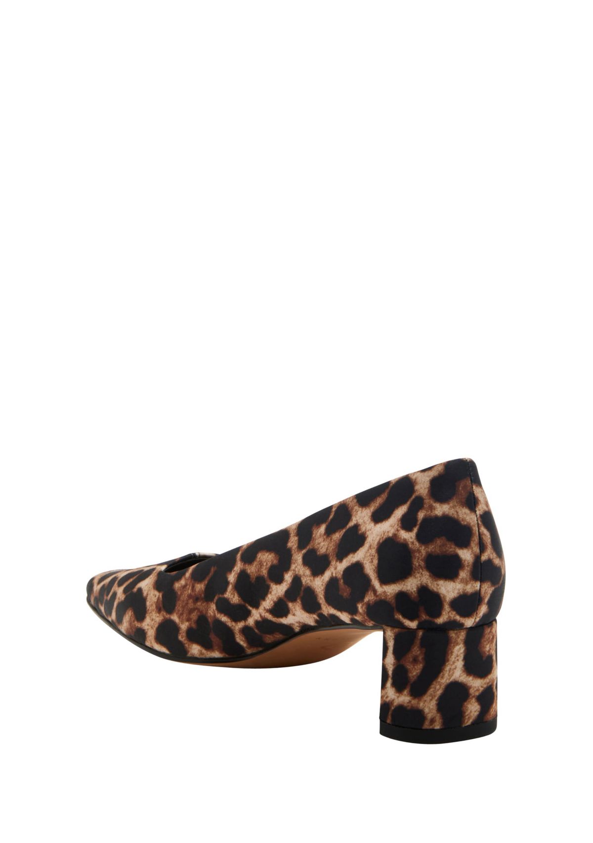 THE WANDERERING PUMP