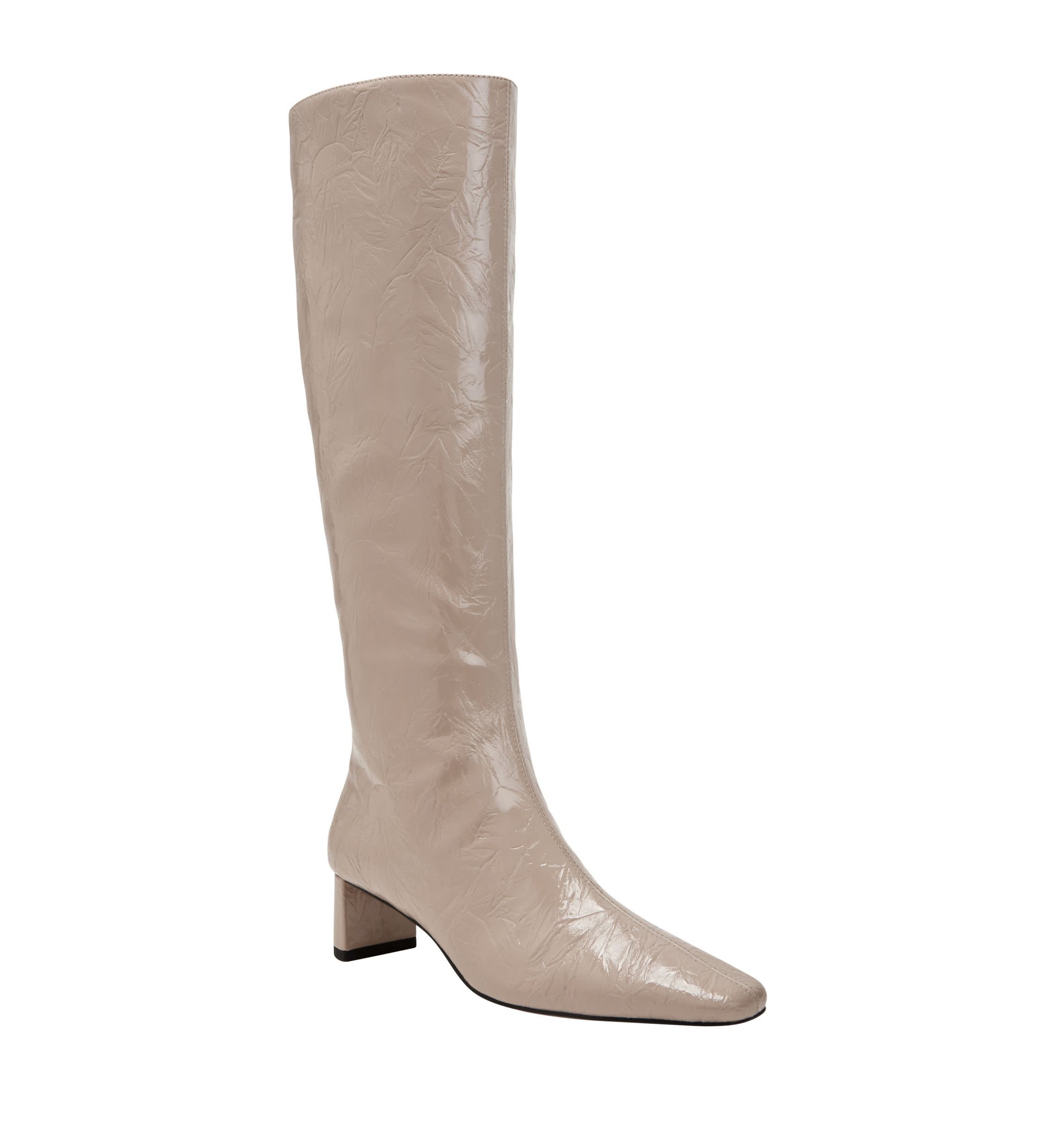 THE WANDERERING BOOT