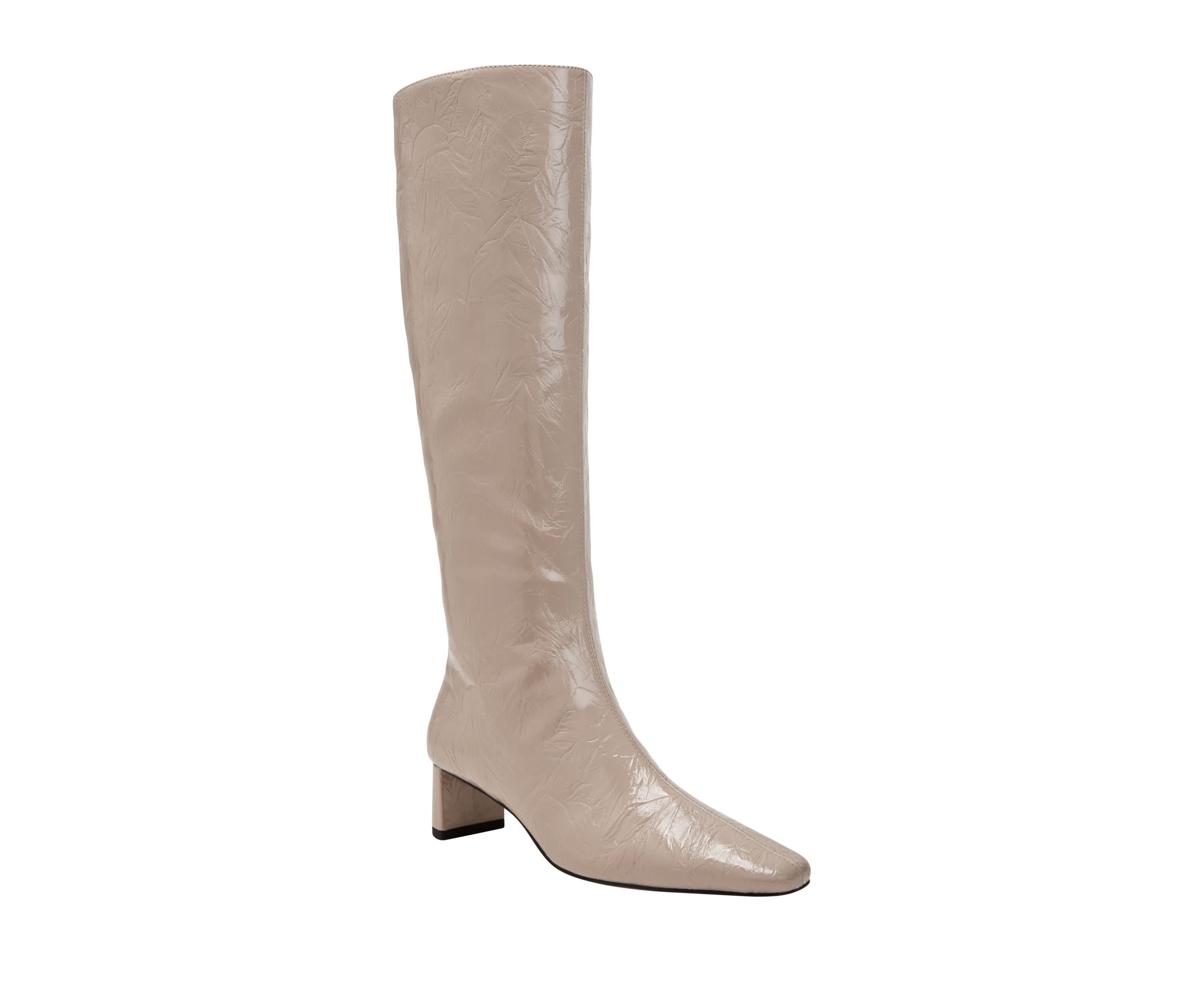THE WANDERERING BOOT