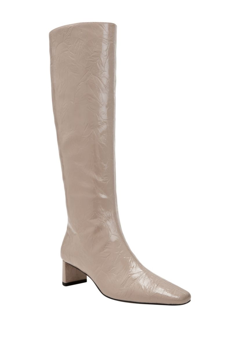 THE WANDERERING BOOT