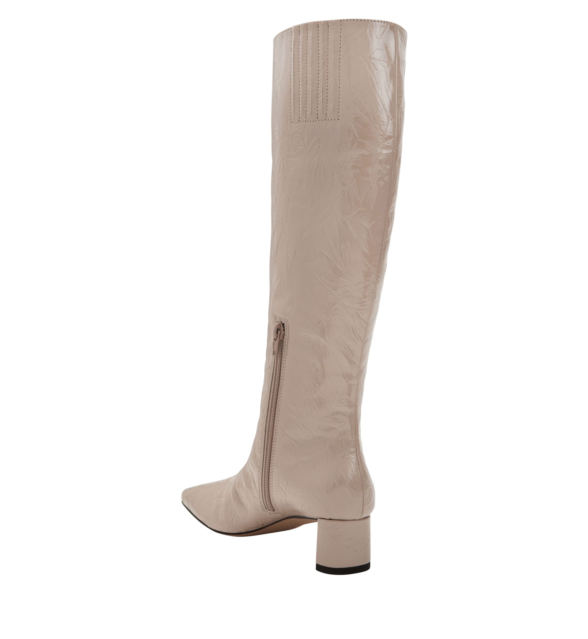 THE WANDERERING BOOT