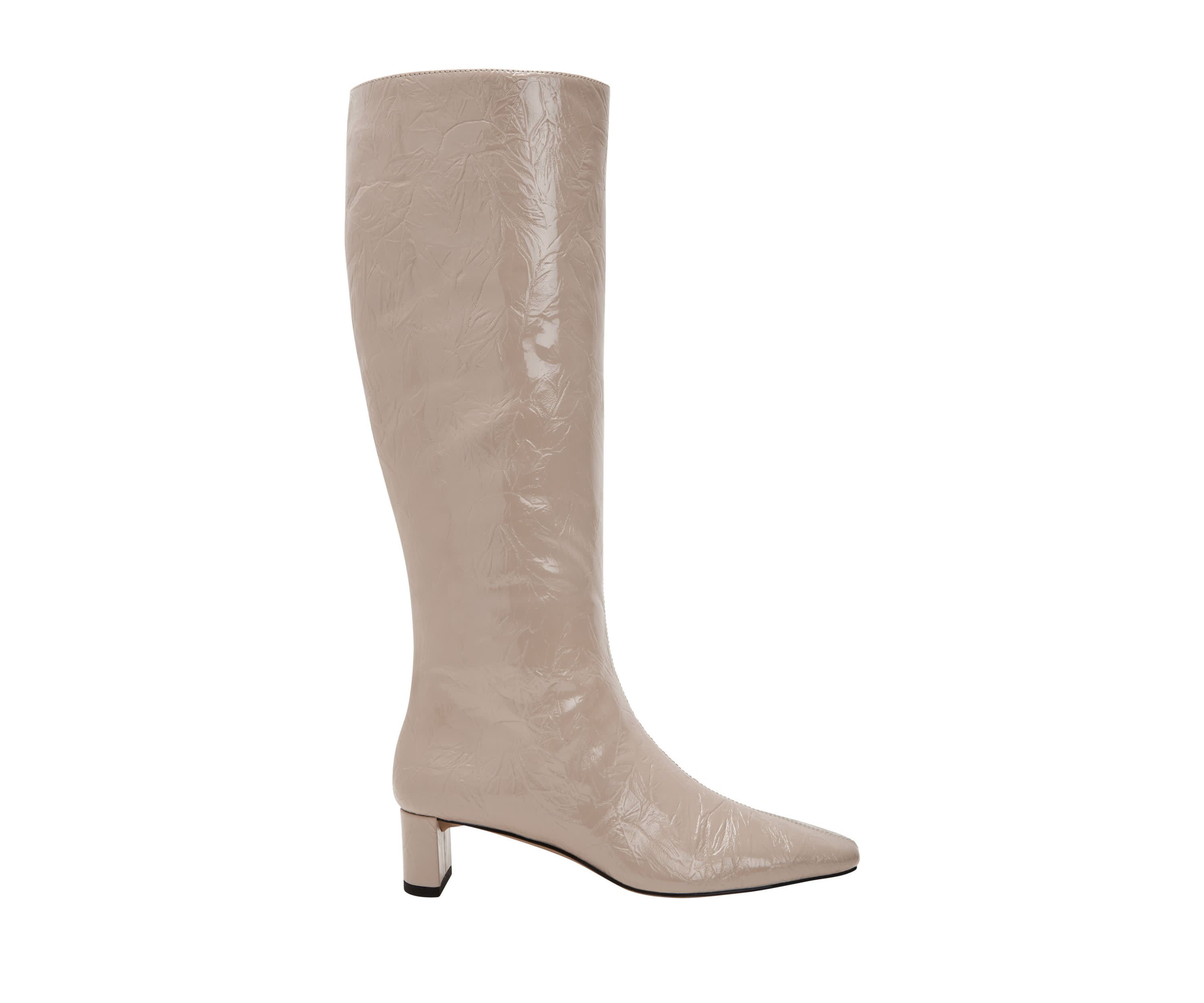 THE WANDERERING BOOT