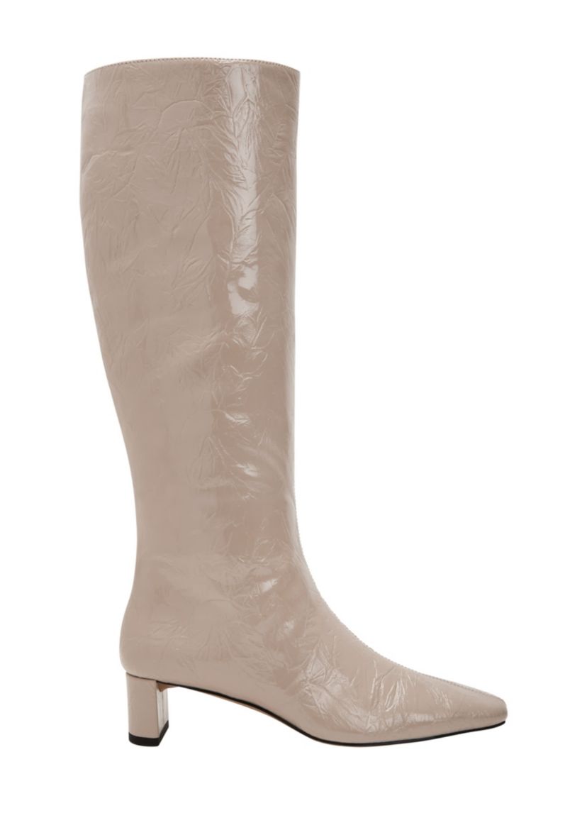 THE WANDERERING BOOT
