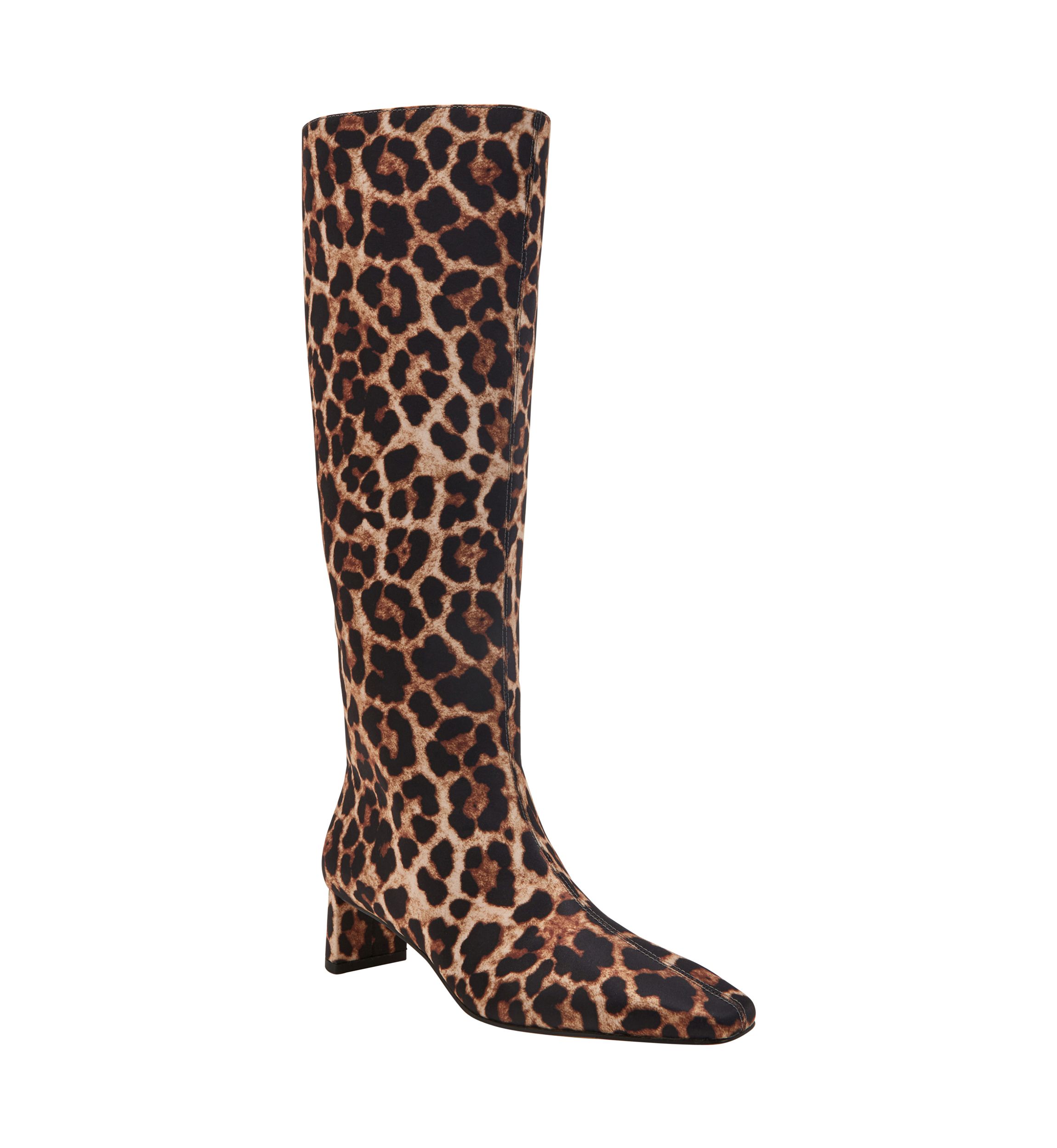 The Wanderering Boots