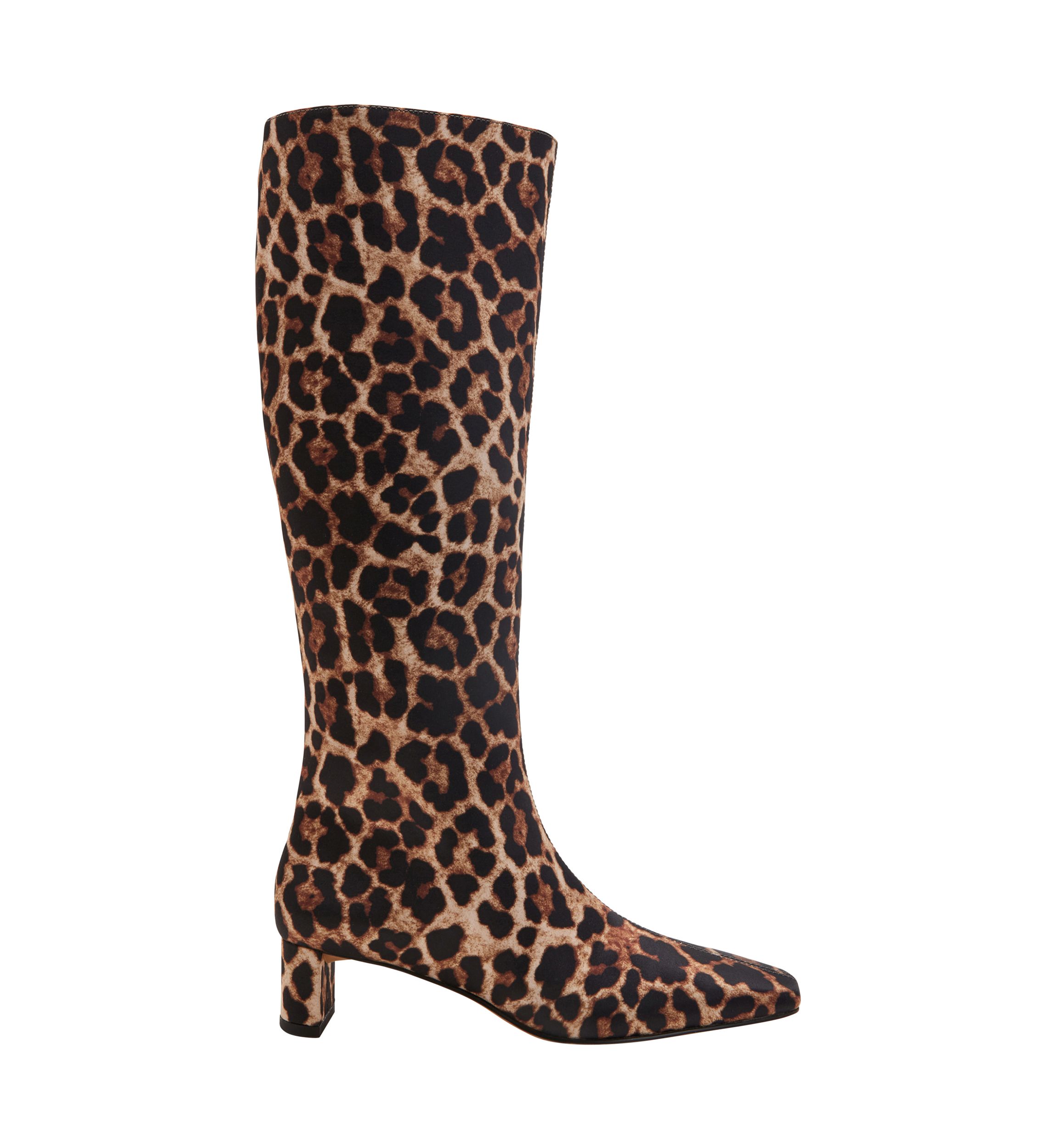 The Wanderering Boots