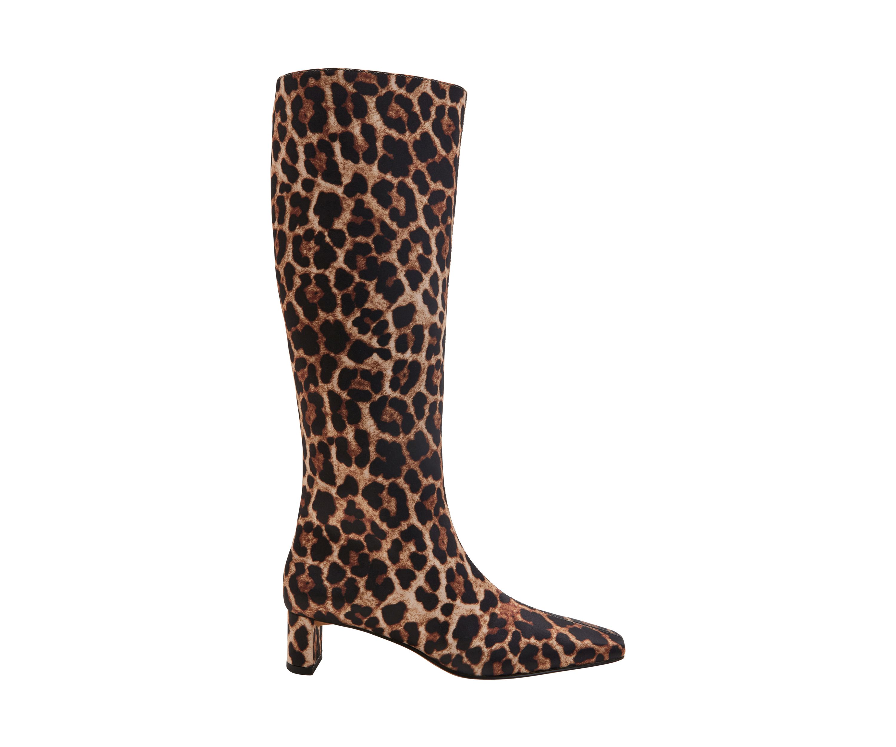 The Wanderering Boots