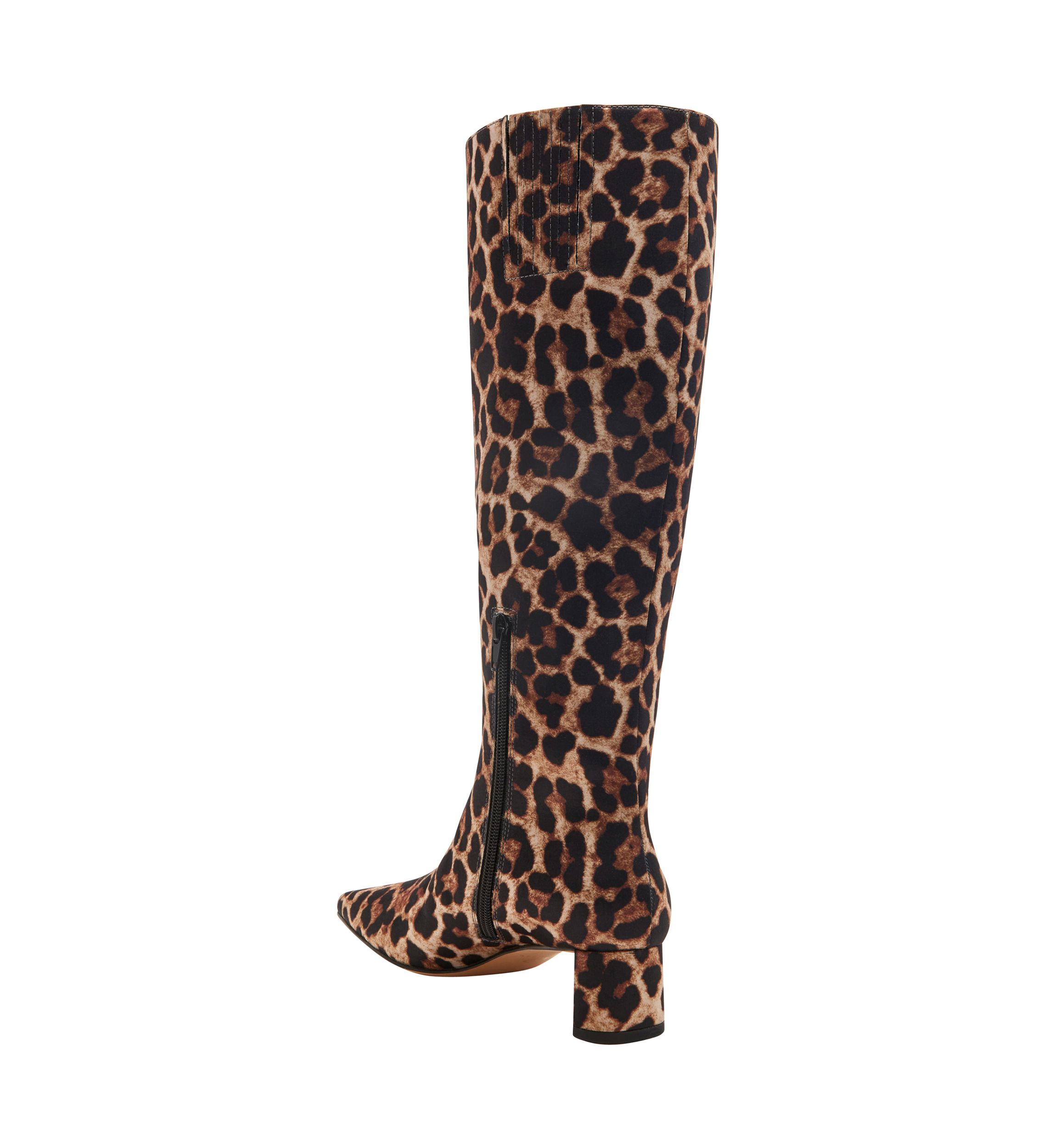 The Wanderering Boots