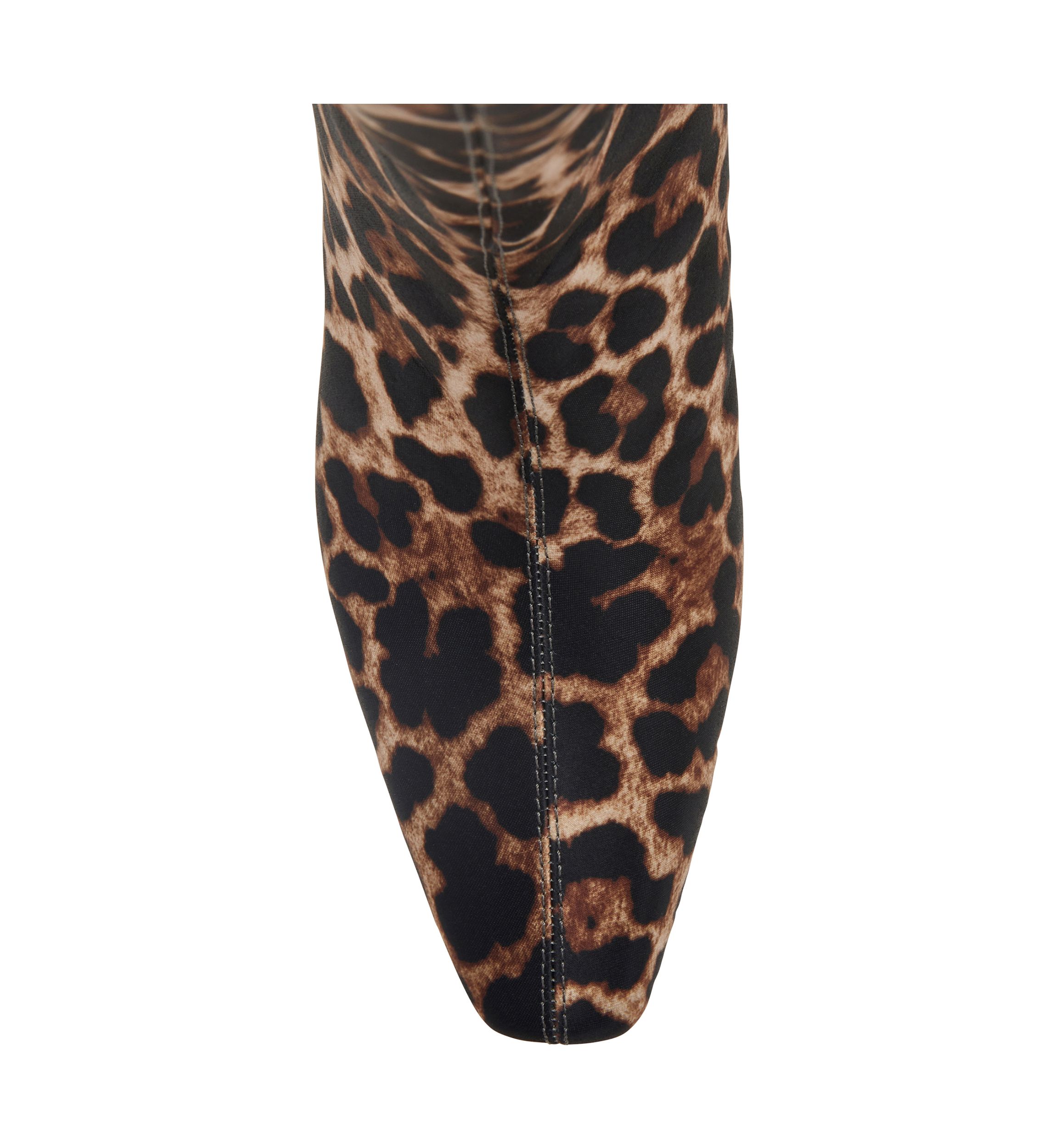 The Wanderering Boots