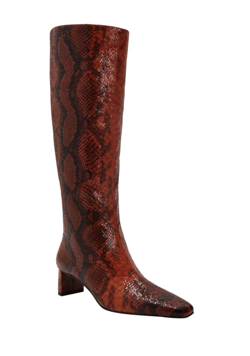 THE WANDERERING BOOT